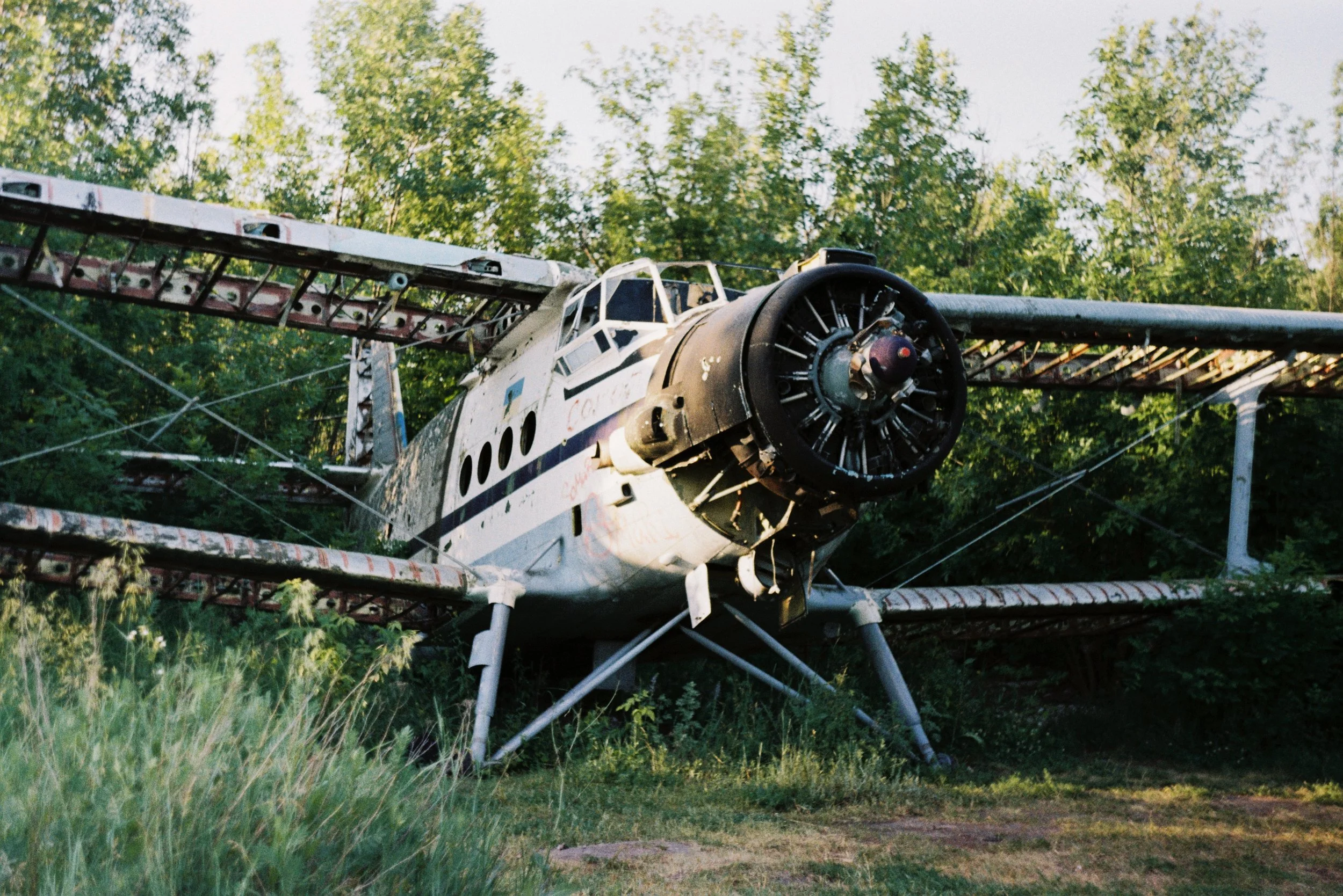 Sentimental Value-3.jpg