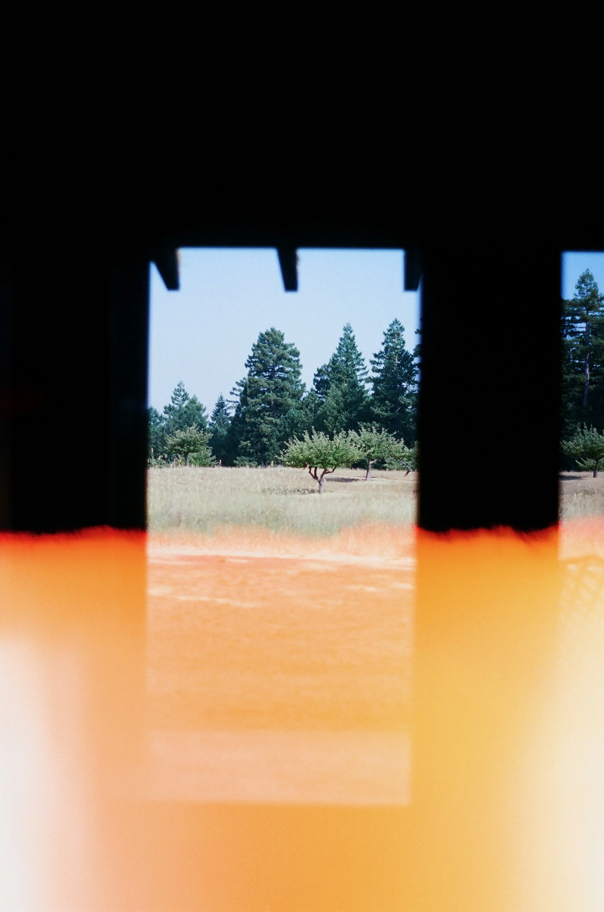 3 - Mendocino, California.jpeg