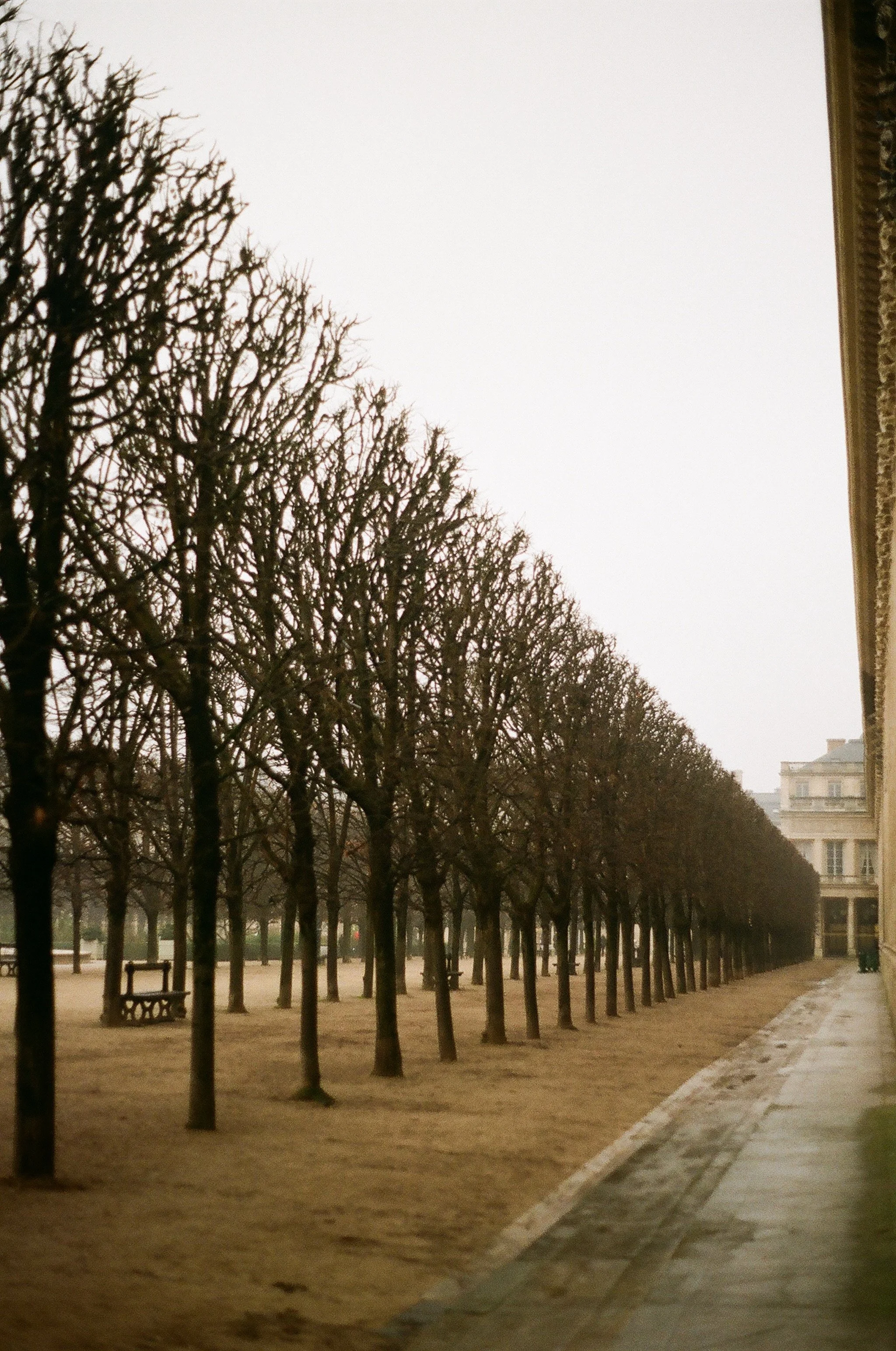 11 - Palais-Royal, Paris.jpeg