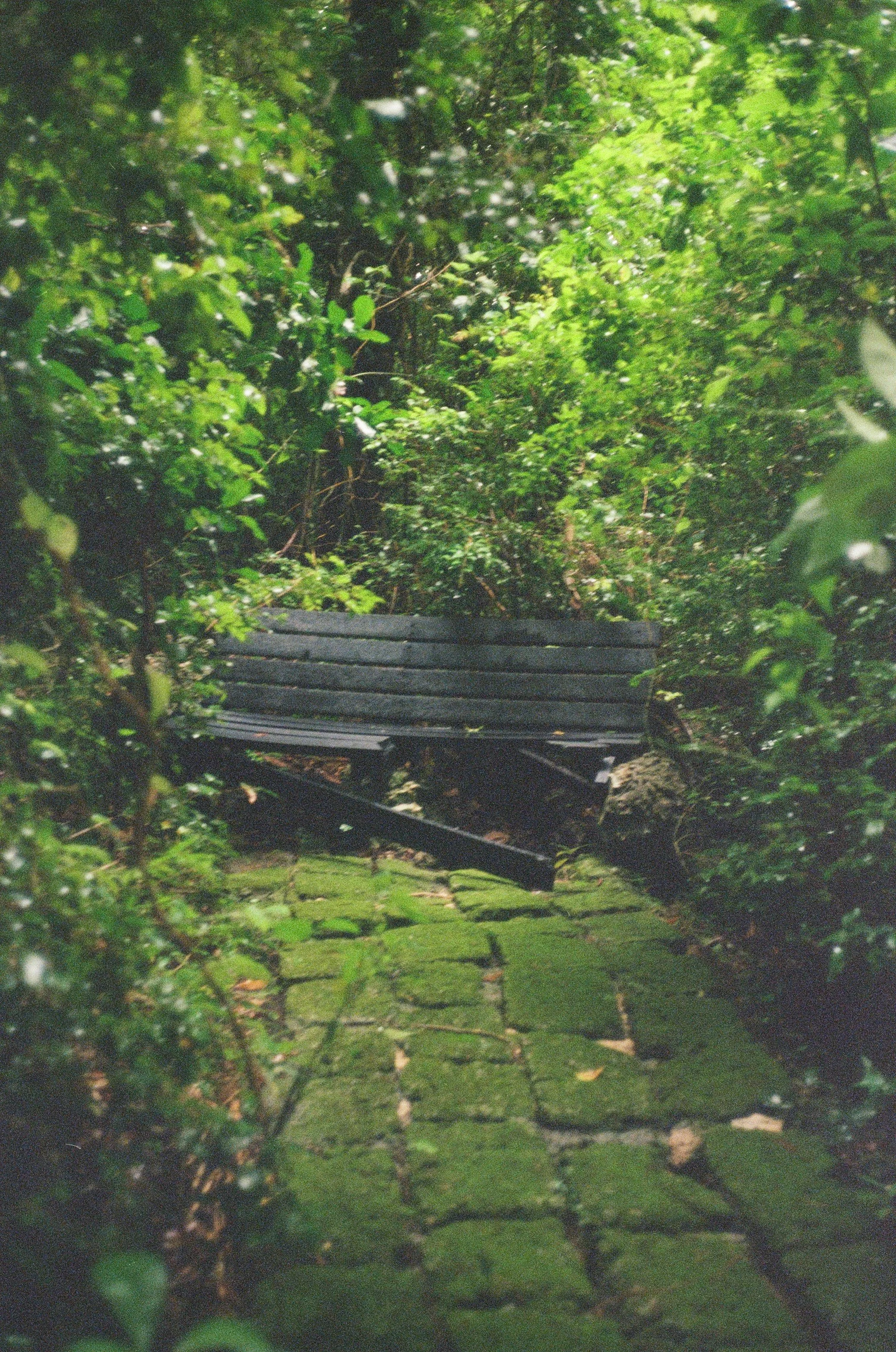 CB-1.jpg