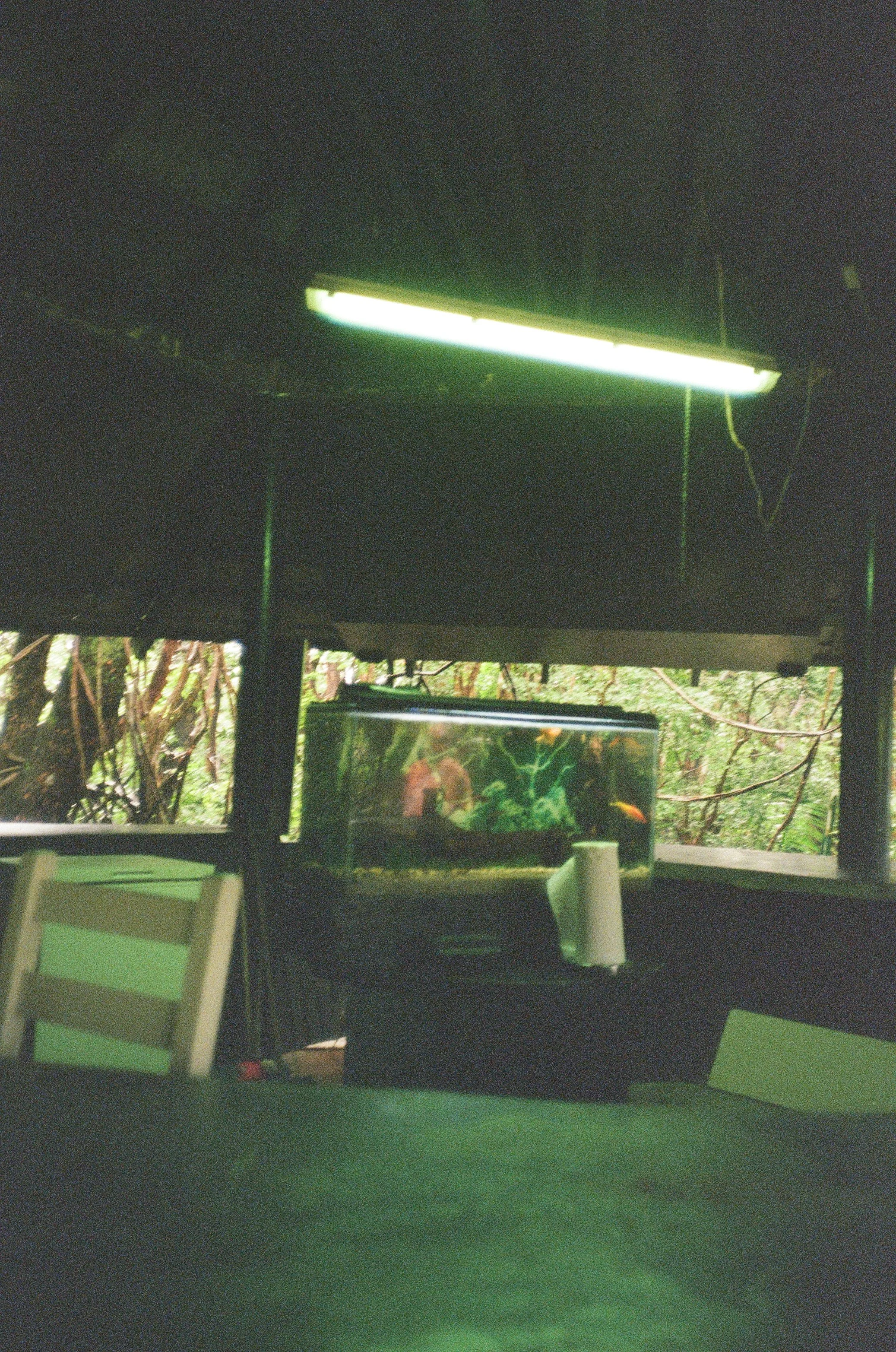 CB-2.jpg