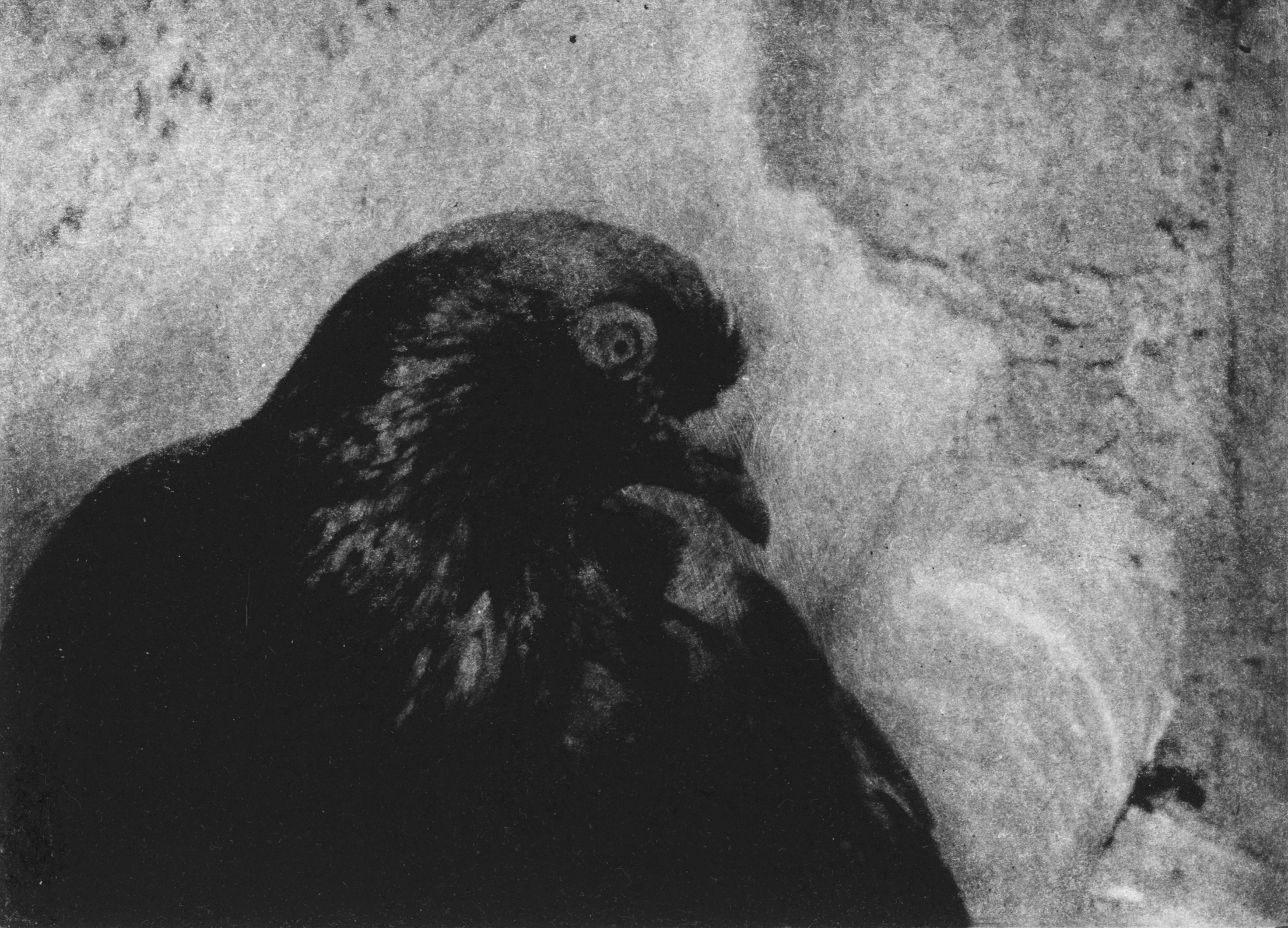 Blindness 1