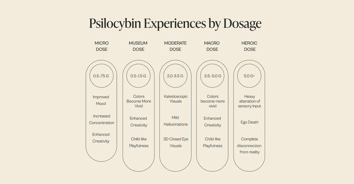 Microdosing Protocols: Which is Best for You?