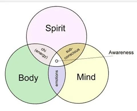 Microdosing, Movement &amp; Mind-Body Connection