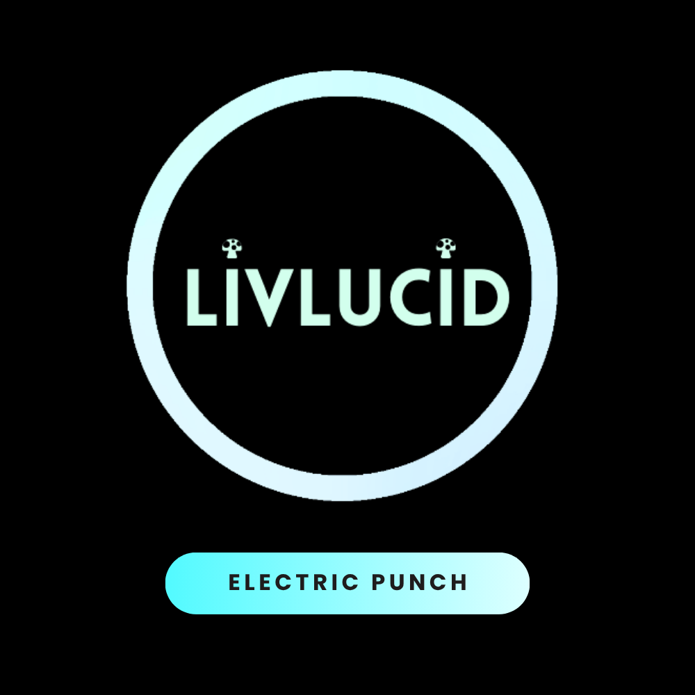 ELECTRIC PUNCH.png