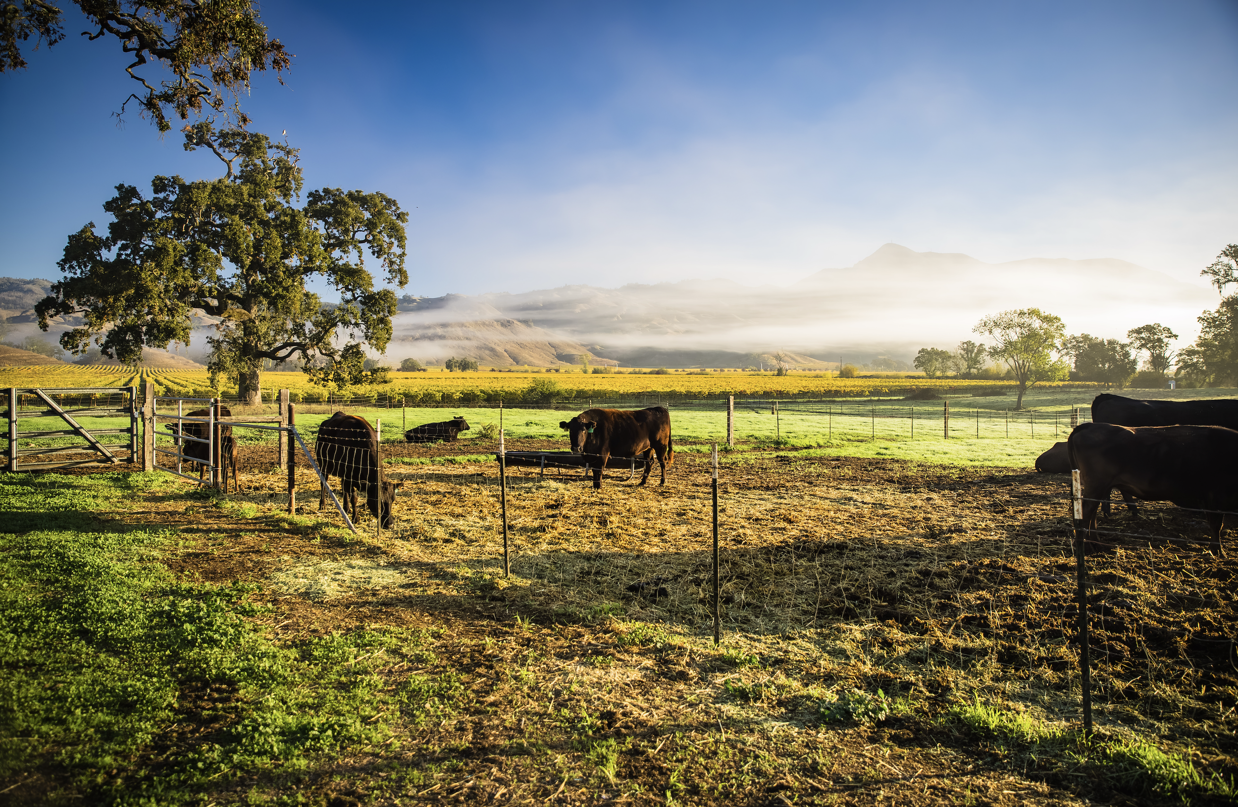 Screenshot 2026-03-11 at 12.34.44 PM.png