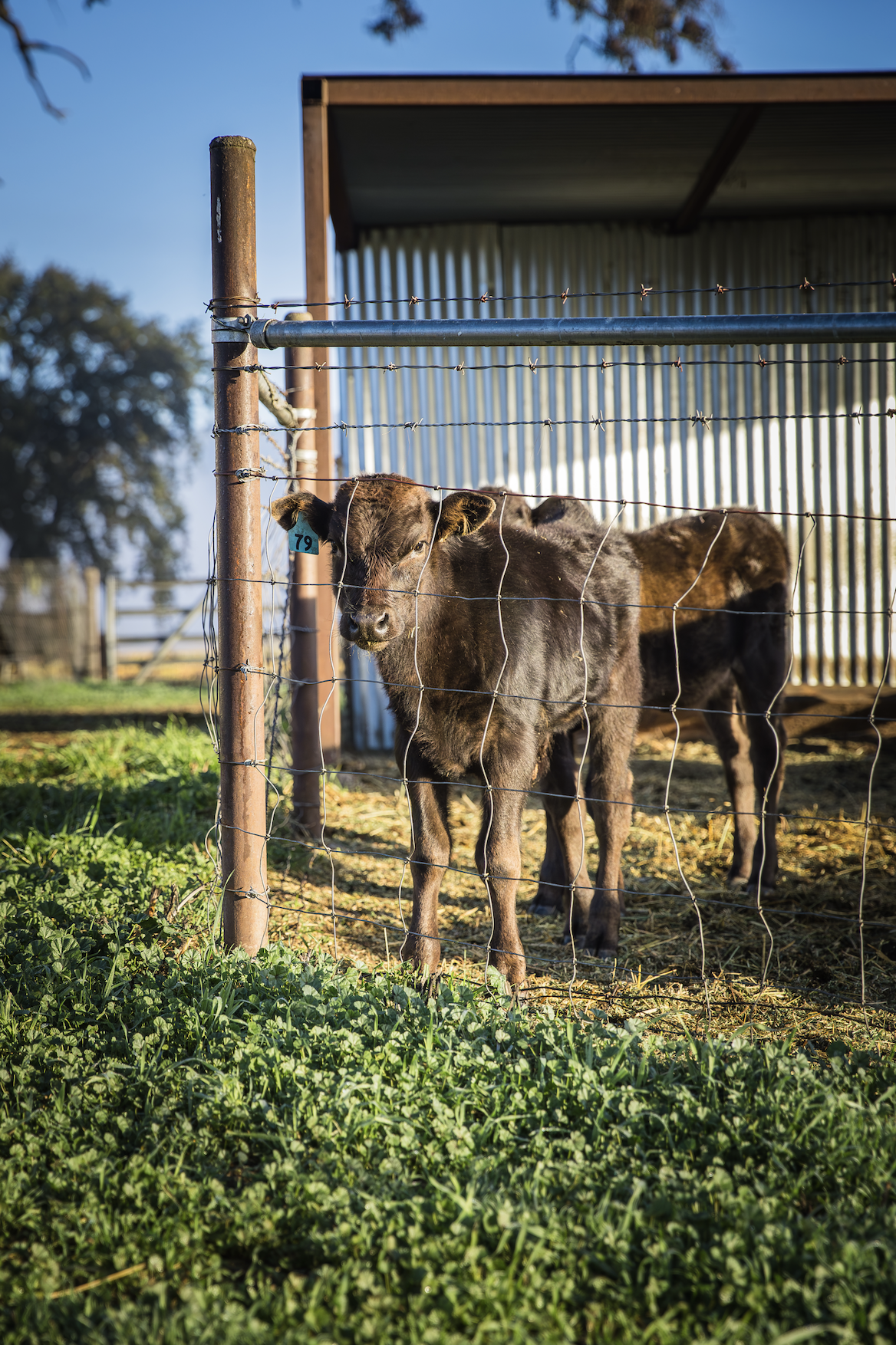 Screenshot 2026-03-11 at 12.54.43 PM.png