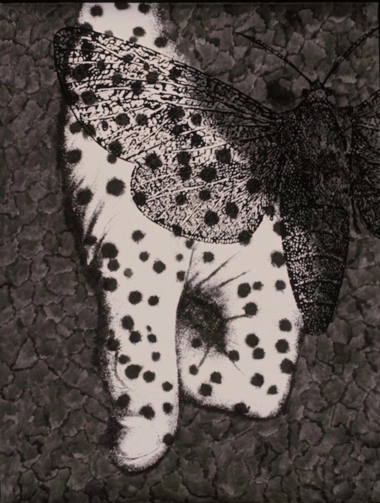 Clutch, 1994graphite, cel vinyl ink on paper75 x 53 inches