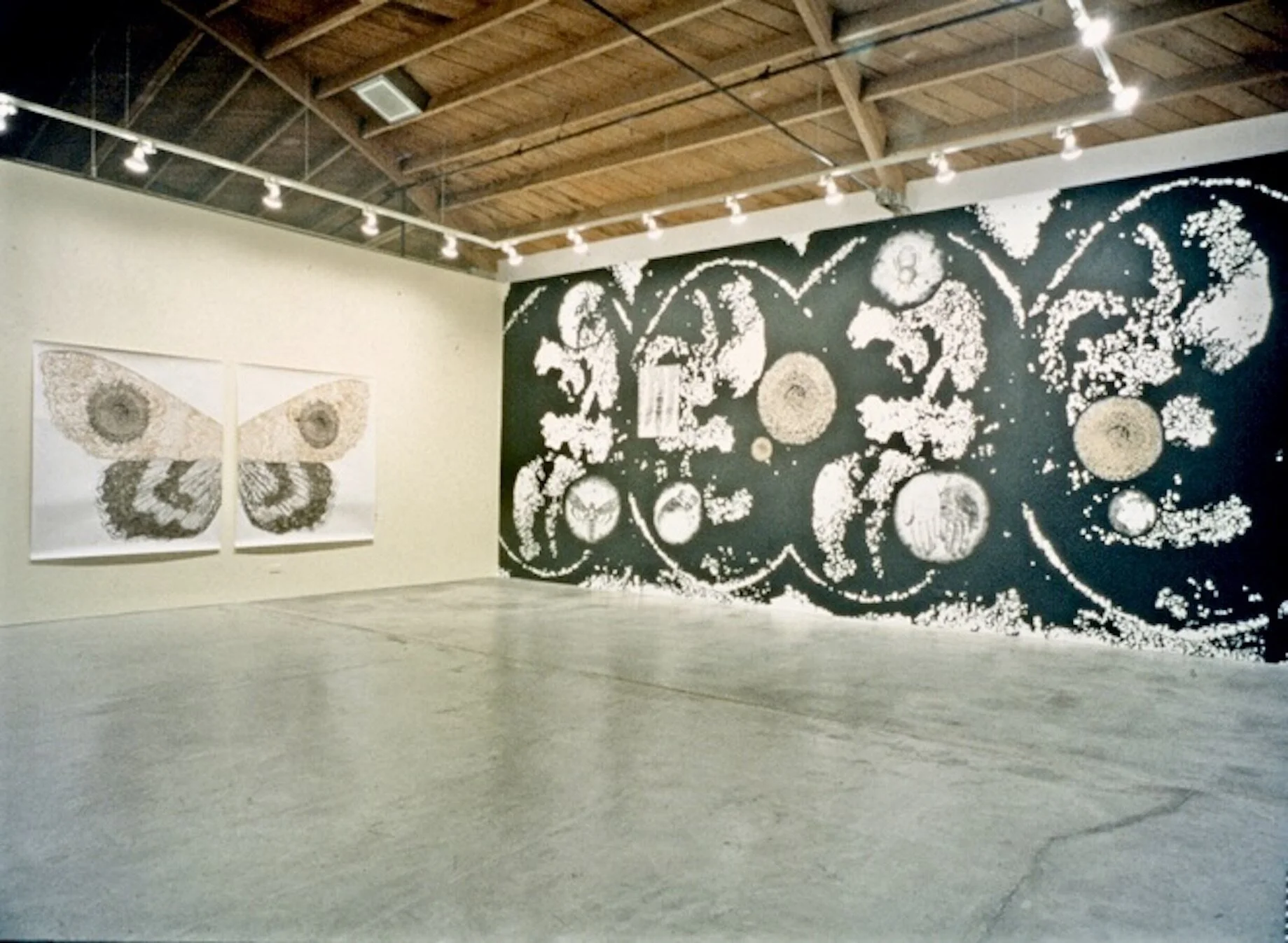 Installation shot: Sawing the Sky Open, 1994Left: Lantern, cel vinyl ink on paper, diptych, 70 x 60 inches, each Right: July 1st, acrylic, cel vinyl, India ink on wall, 12 x 35 feetMark Moore Gallery Santa Monica, California