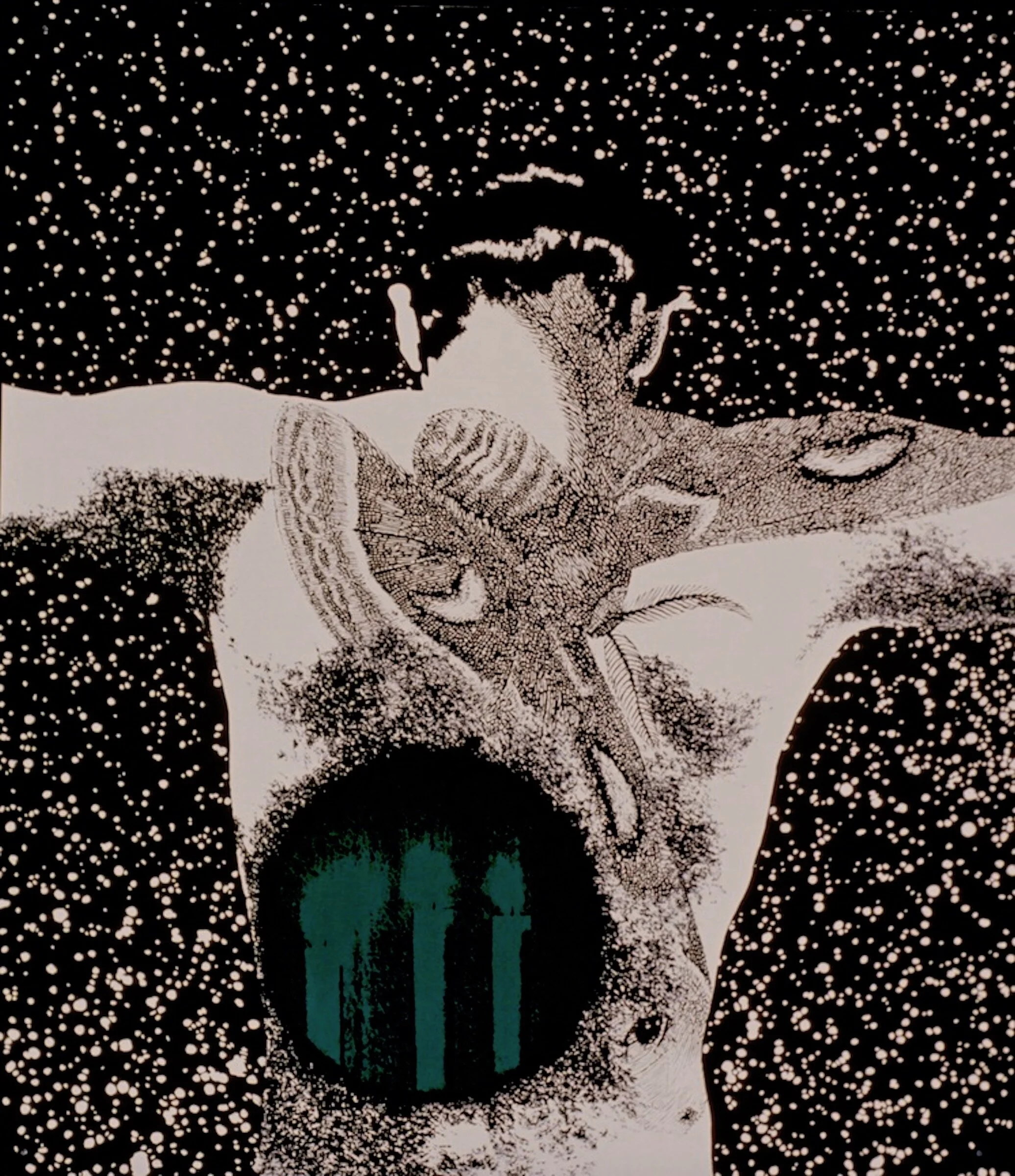 Ember, 1997cel vinyl ink on paper70 x 60 inchesCollection: Tucson Art Museum, University of Arizona, Tucson, AZ