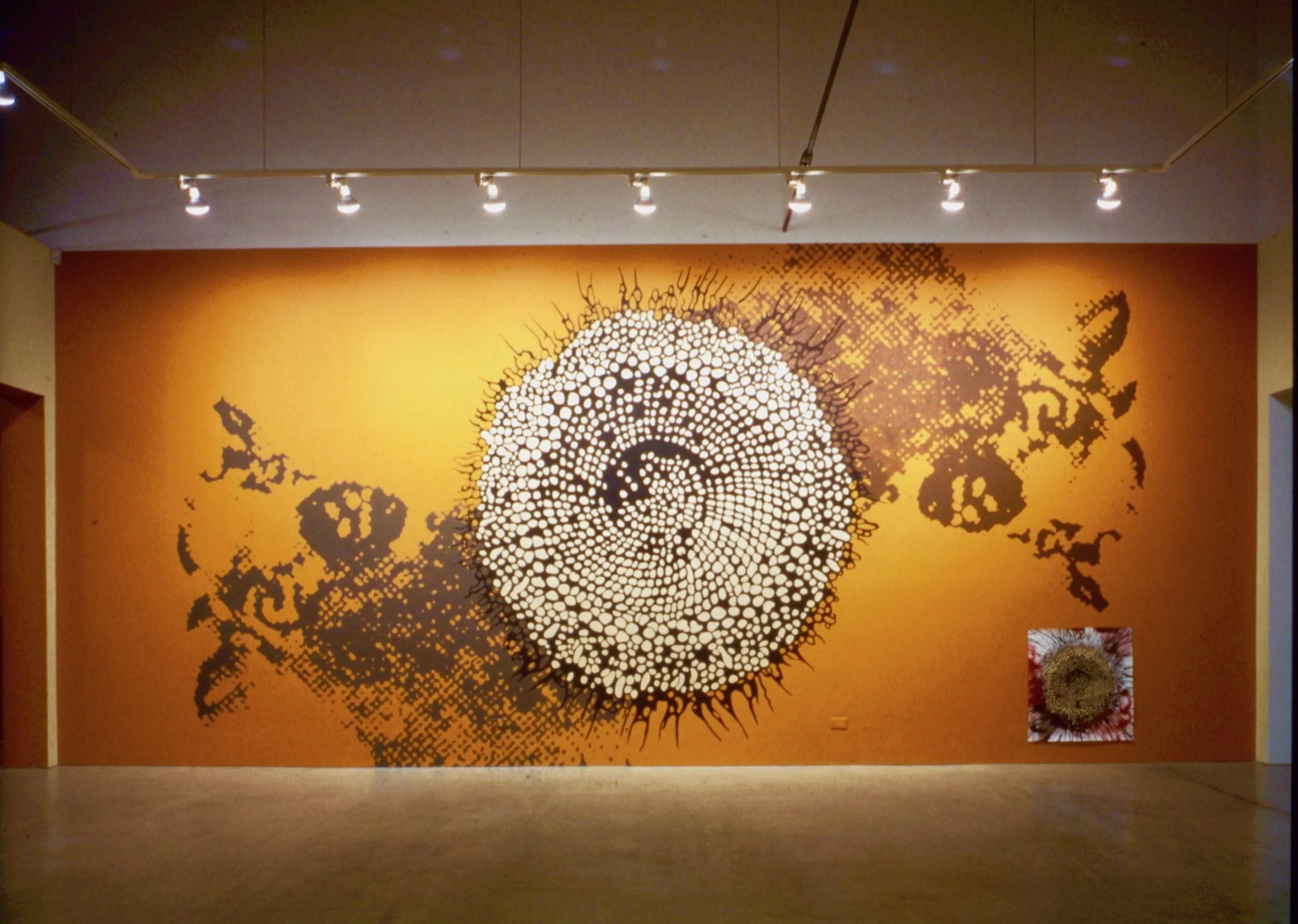 Installation shot: Sawing the Sky Open: Swarm 1994, Mark Moore Gallery, Santa Monica, California