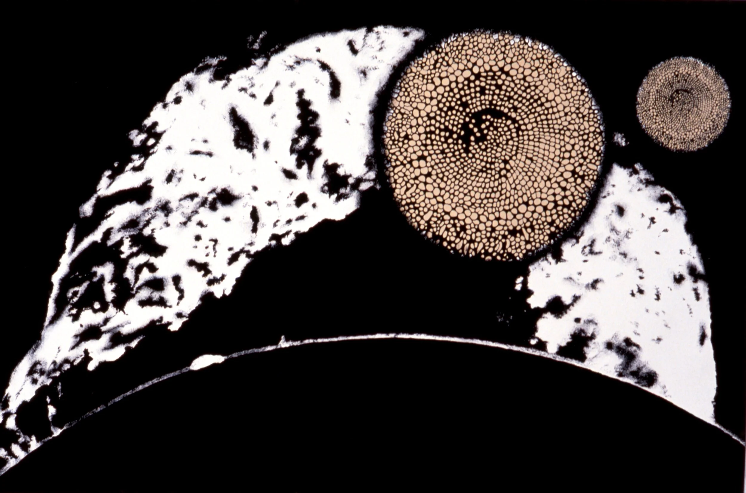 Flare, 1994India ink, cel vinyl ink on paper48 x 75 inches