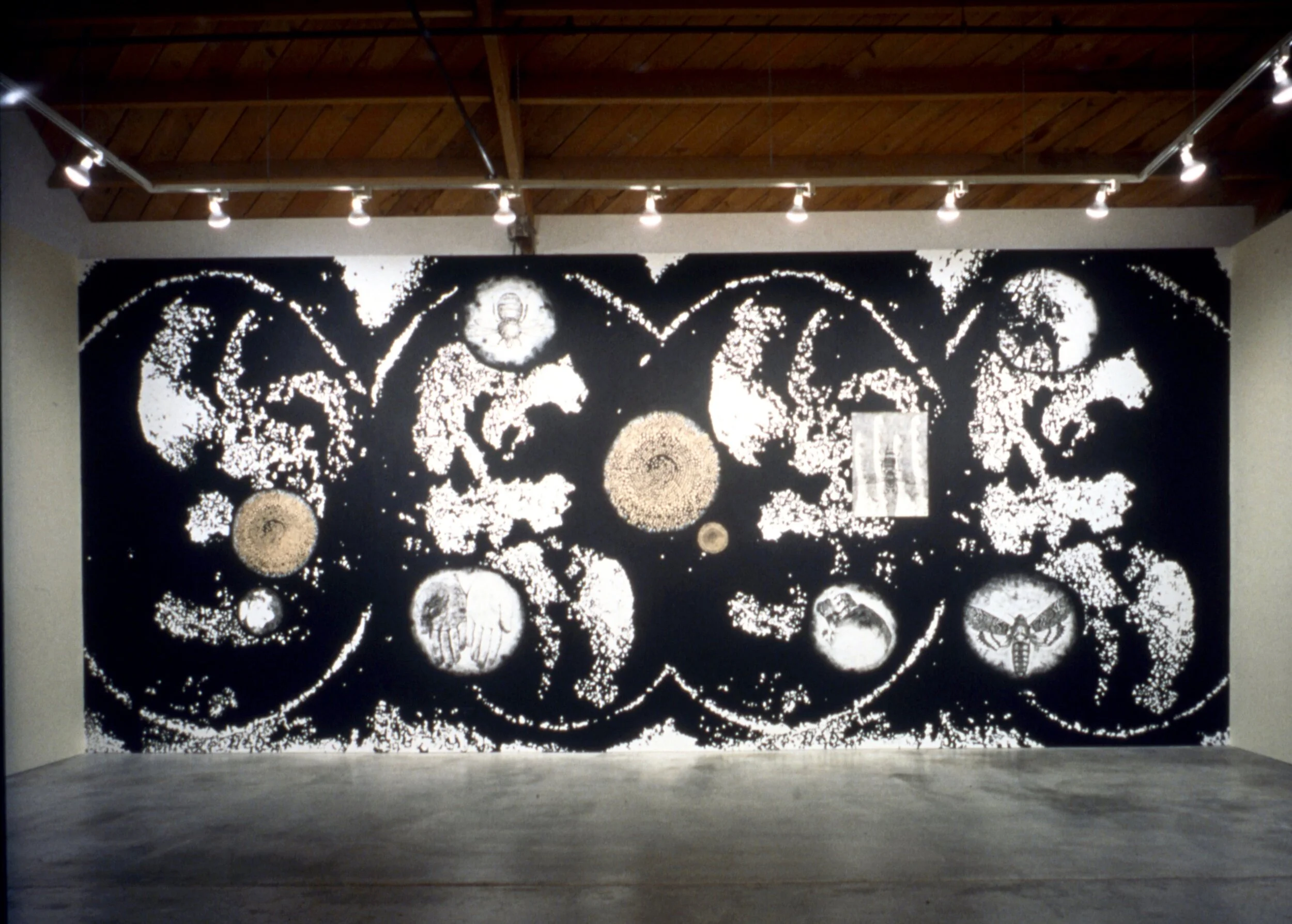 Installation shot: Sawing the Sky Open, 1994July 1st, cel vinyl ink, India ink, works on paper on wall, 12 x 35 feetMark Moore Gallery, Santa Monica, California