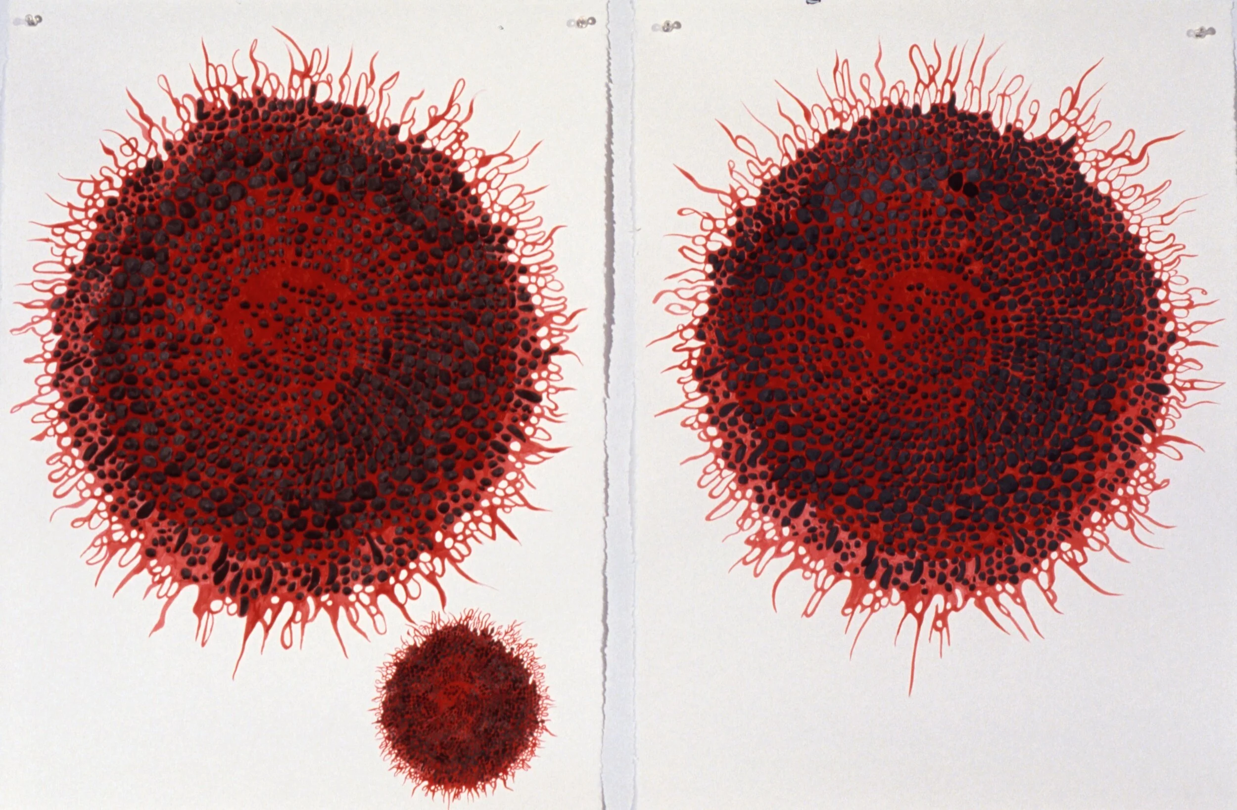 Fibonacci 2, 1995India ink, cel vinyl ink on paper30 x 22 inches, each