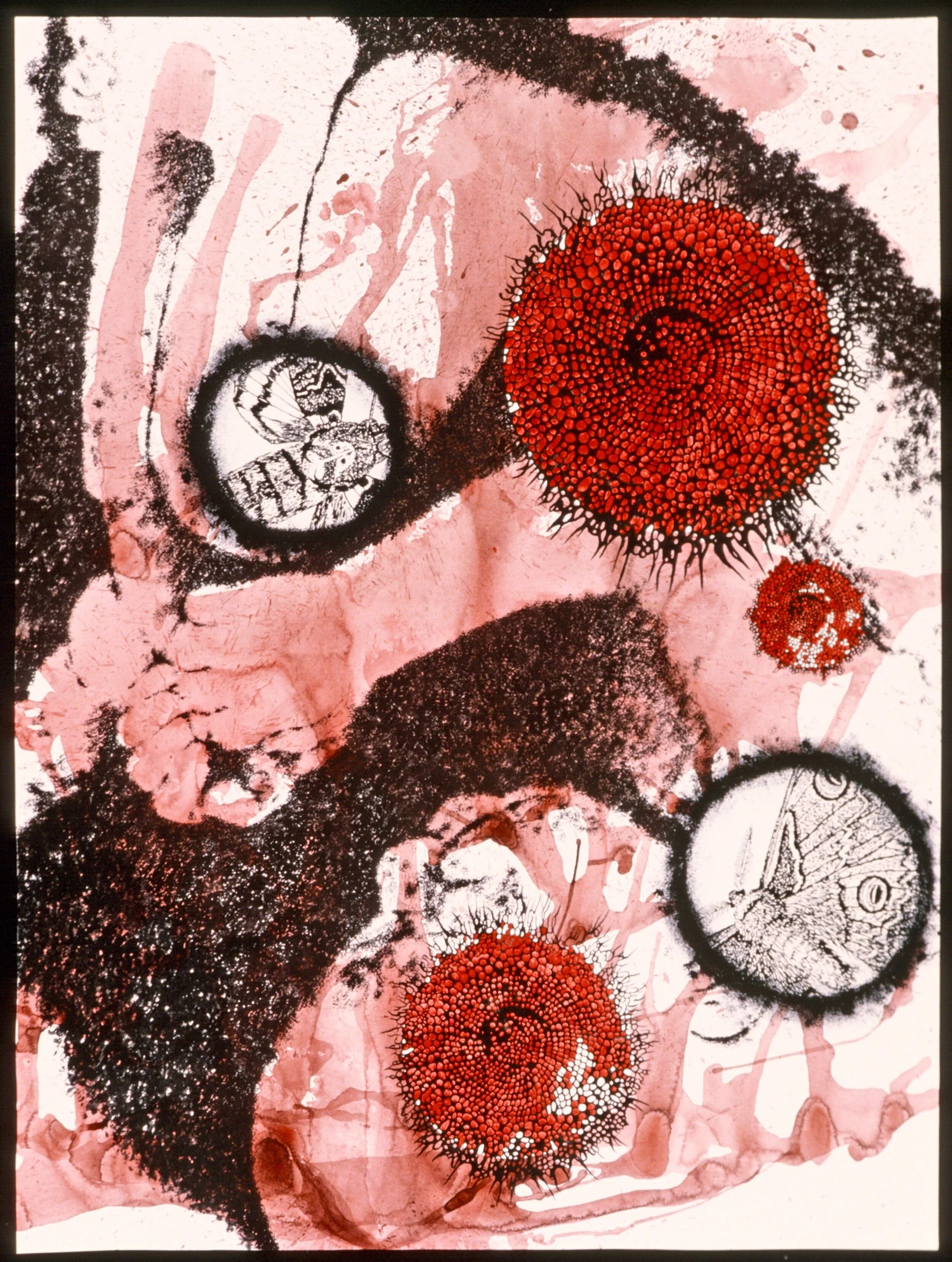 Forming, 1997India ink, cel vinyl ink on paper50 x 38 inches