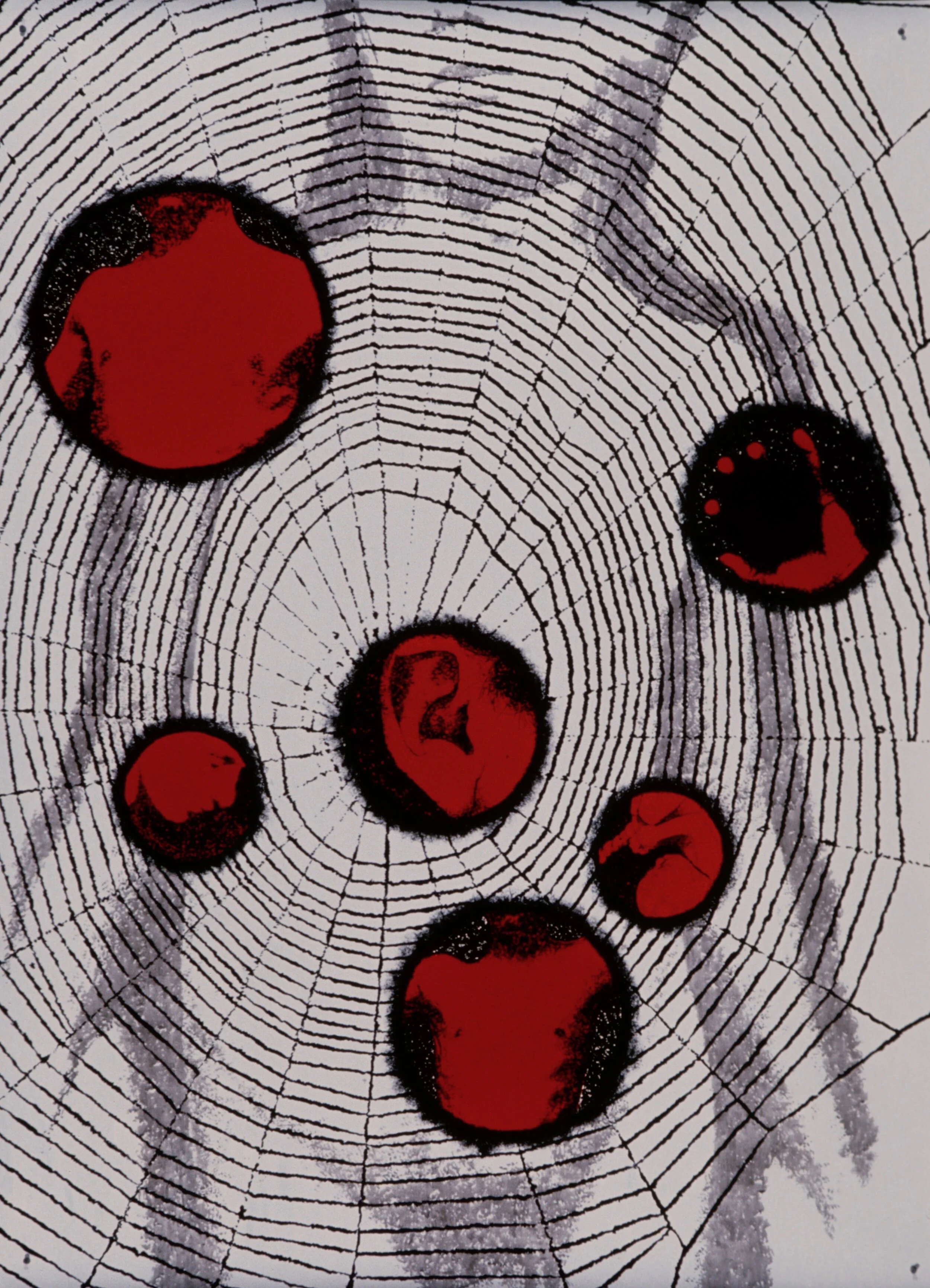 Untitled, 1997cel vinyl ink on paper70 x 32 inches