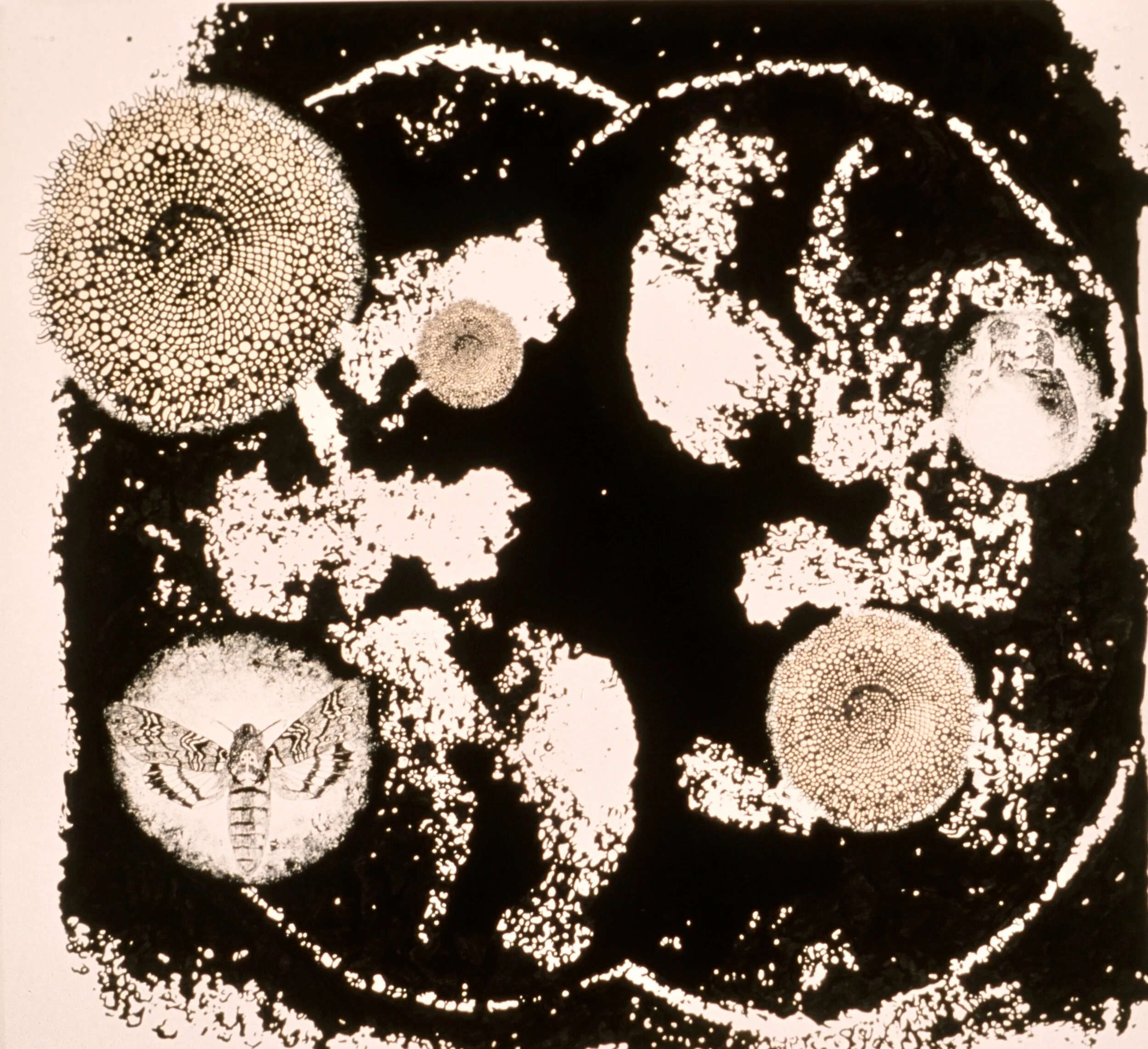 Study for July 1st, 1994India ink, cel vinyl ink on paper60 x 66 inchesCollection: Phyllis &amp; Ross Escalette Permanent Art Collection, Chapman University, Orange, California