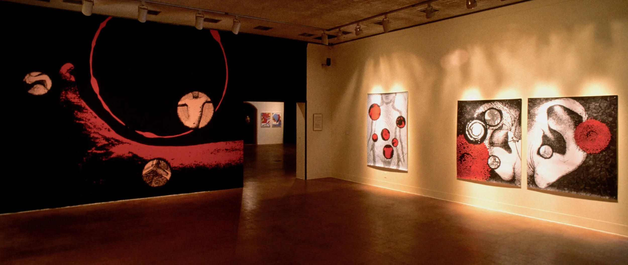 Installation shot: Eclipse 1997, University of Arizona, Tucson, Arizona