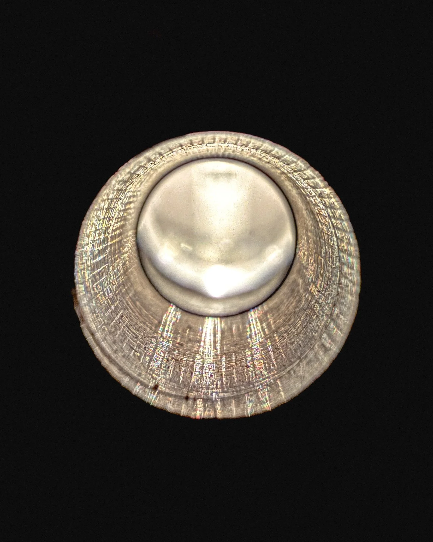 What are you looking for? // #abstractart #photographer #photograph #foundobjectart #whatisthis