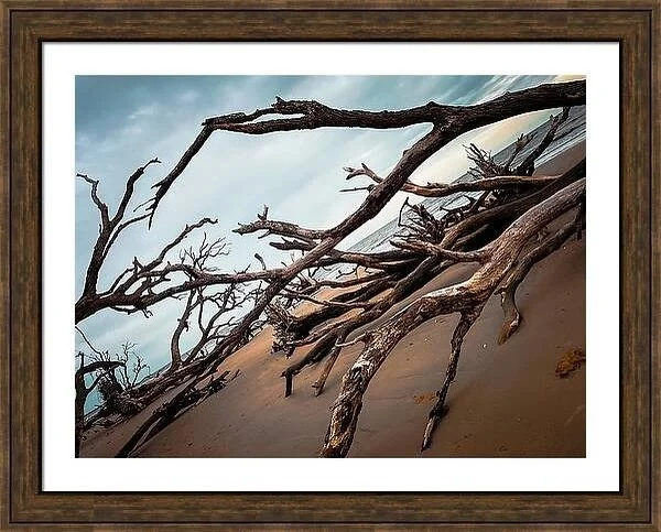 One of my favorites would look great framed! DM me for purchase options!

#photographer #beach #driftwood #driftwoodart
