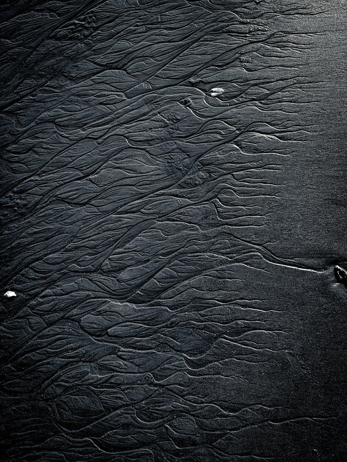 Patterns in the sand // Beauty of nature in motion

#ocean #beach #photo #bw