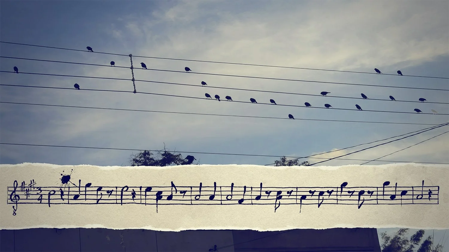Symphony of Energy