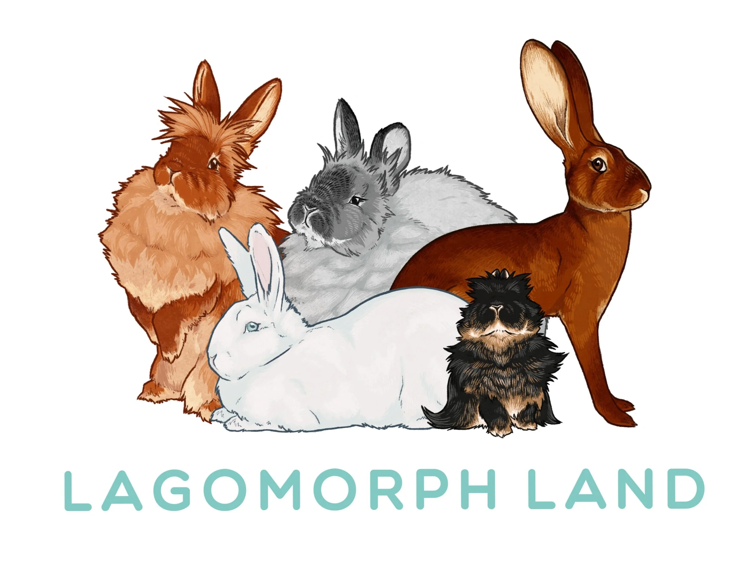 lagomorphland-transparent.jpg