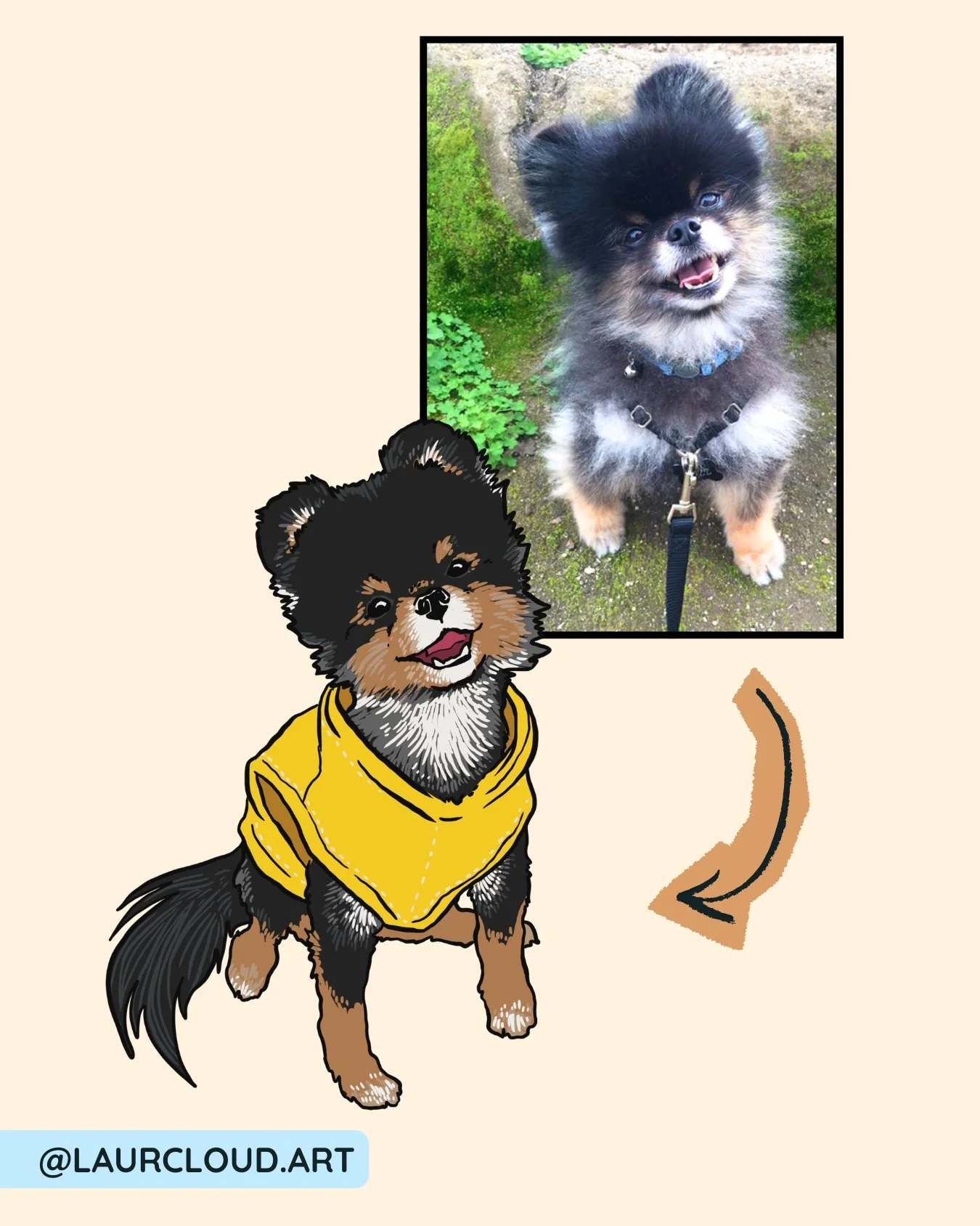 custom pet portrait artist modern color block style pomeranian - buzz reference.jpg
