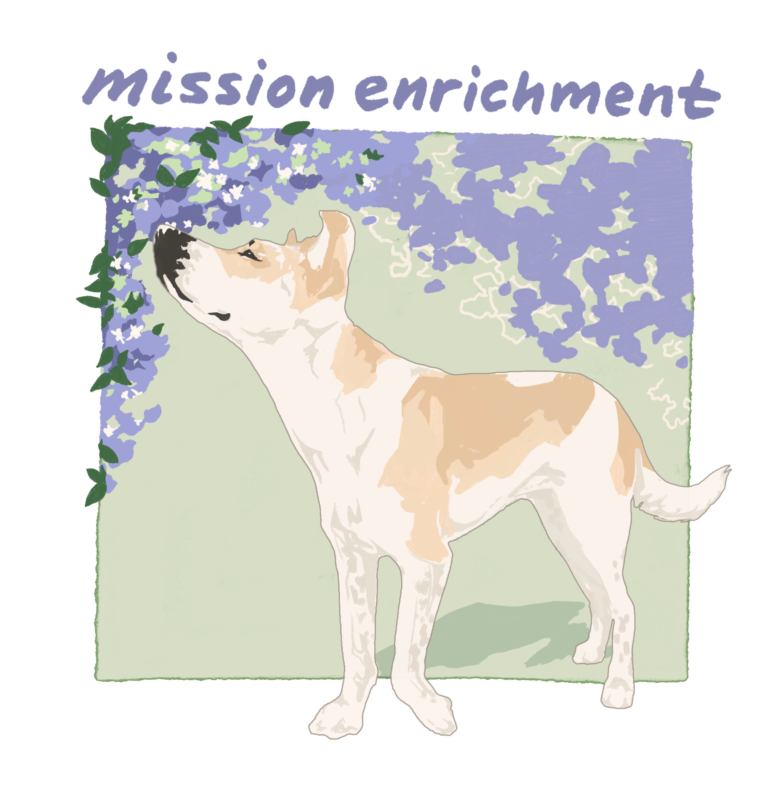 mission enrichment - spring.png