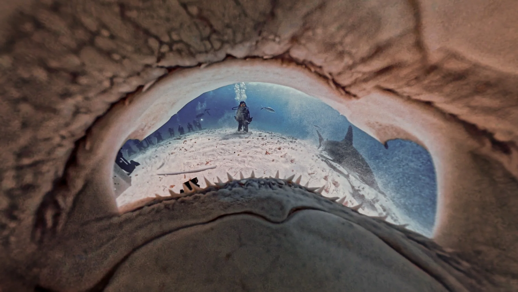 BiminiinsideoutPOST.jpg