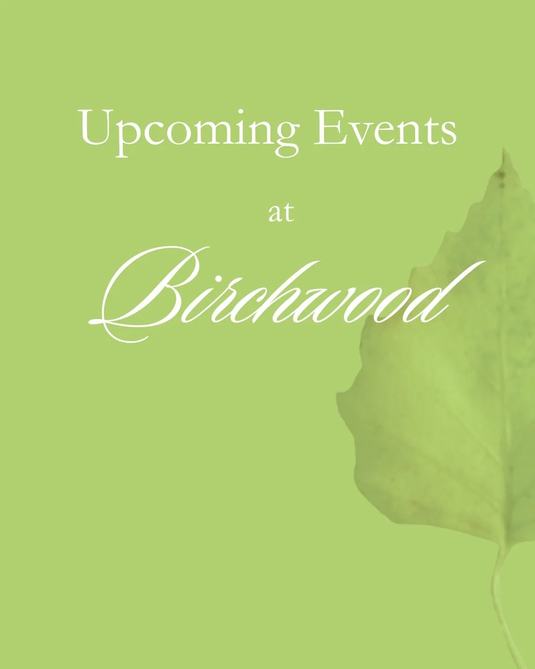 Reminder about our March events at Birchwood 🎾
We&rsquo;re especially looking forward to the Adults vs Juniors Match! A unique event where adult members face off against juniors in a light-hearted yet competitive environment. This is a fantastic opp