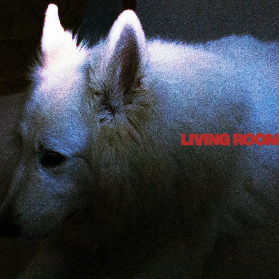 Wet Denim - Living Room