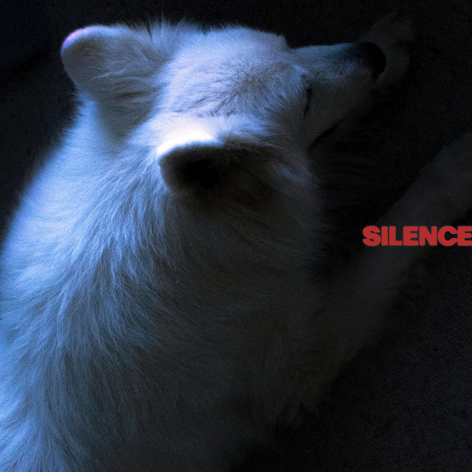 Wet Denim - Silence