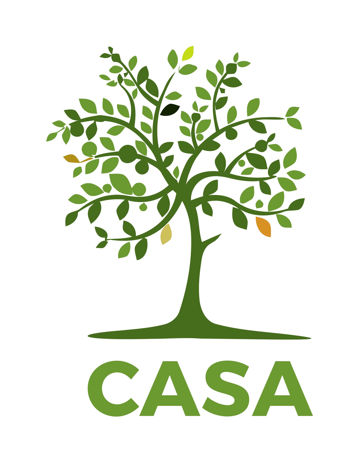 CASA  Counseling and Support Associates, PC