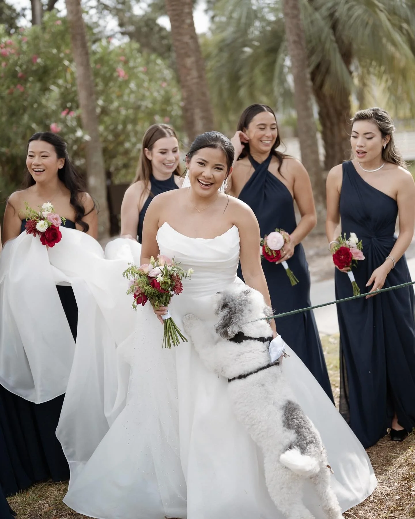 When I say sure, bring your dog I really am saying you MUST bring yo dog. No question. Freddie stole the show 🐶 ❤️ JK, you couldn&rsquo;t steal anything from this beauty @tiff_tiff_onia 

Venue @sonestasaysido 
Planner @sutlancoevents @hillkate 
Hai
