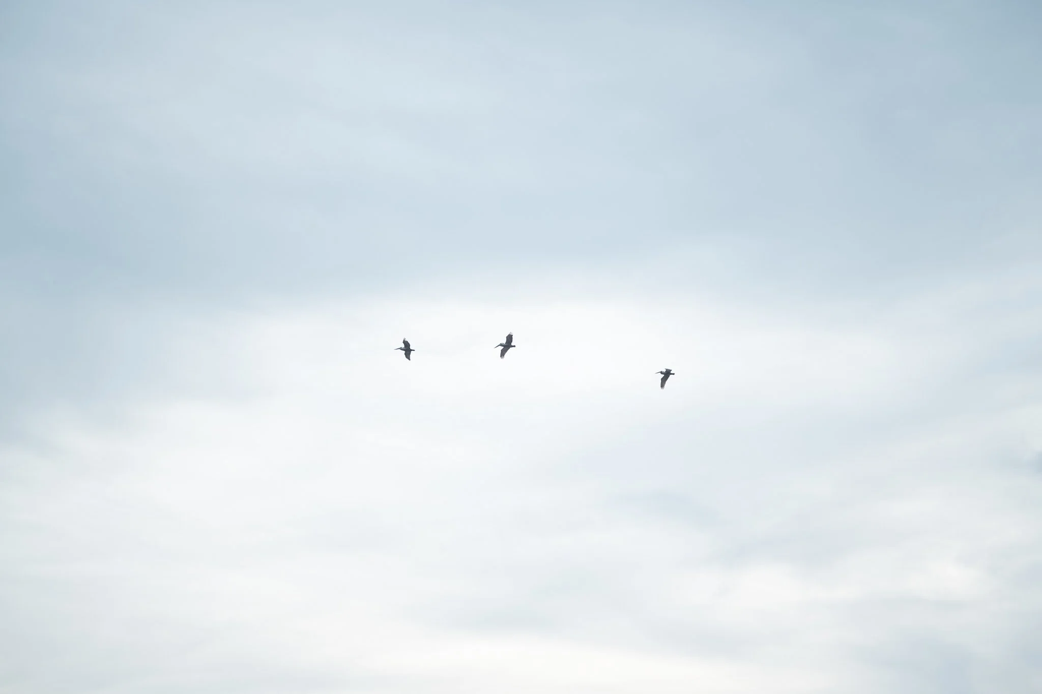 staugustinefamilyphotographer-37.jpg