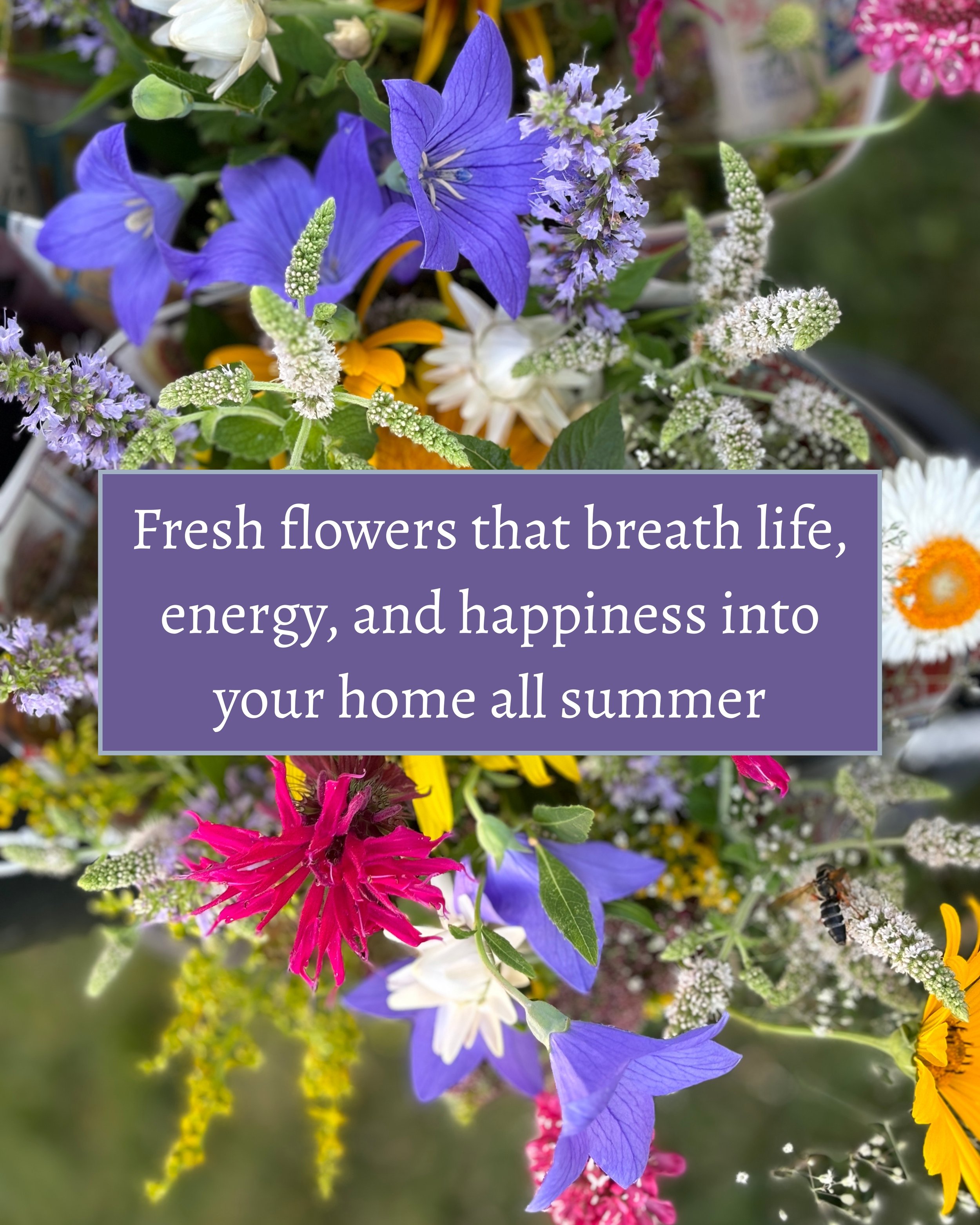 breathe life.jpg