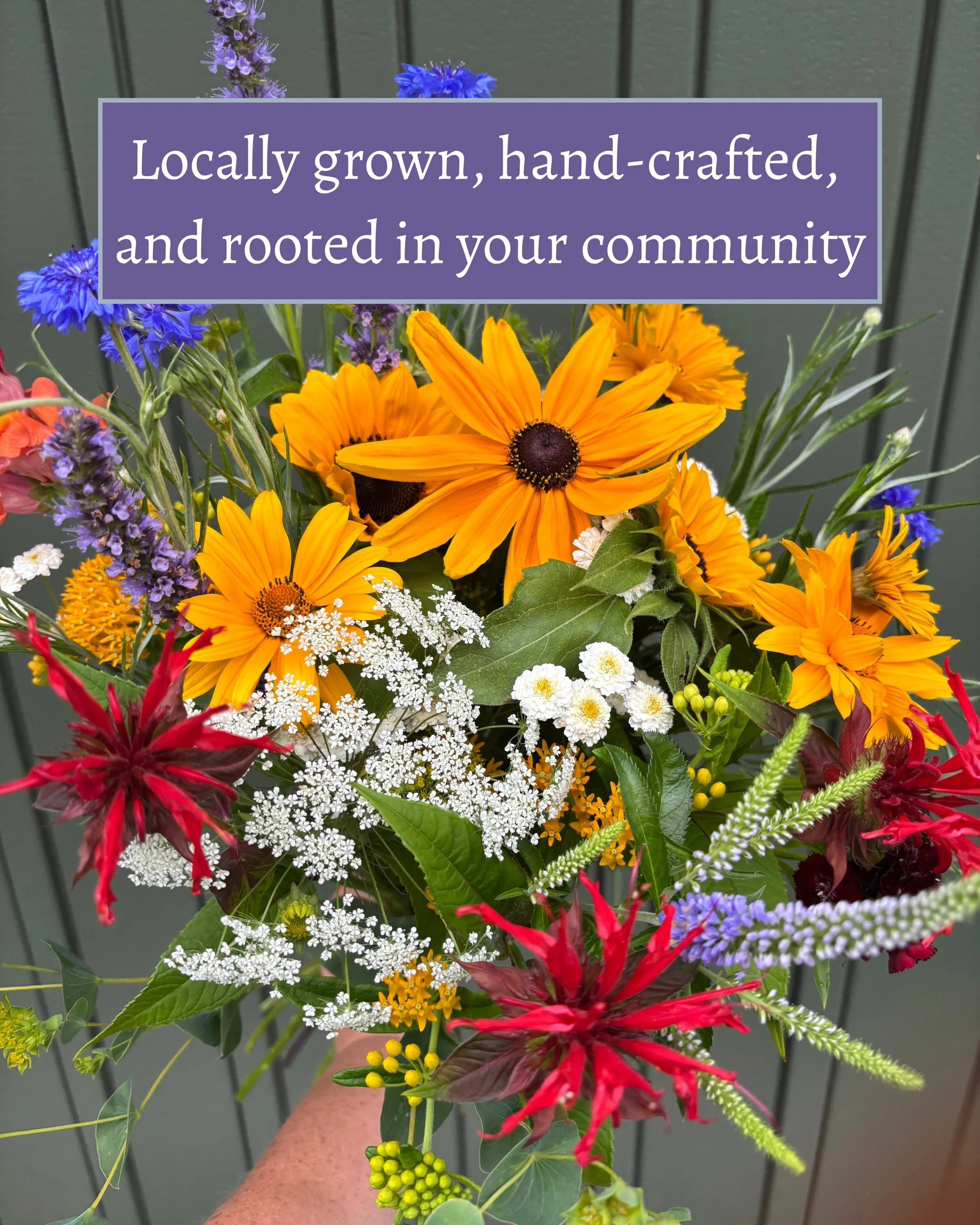 locally grown.jpg