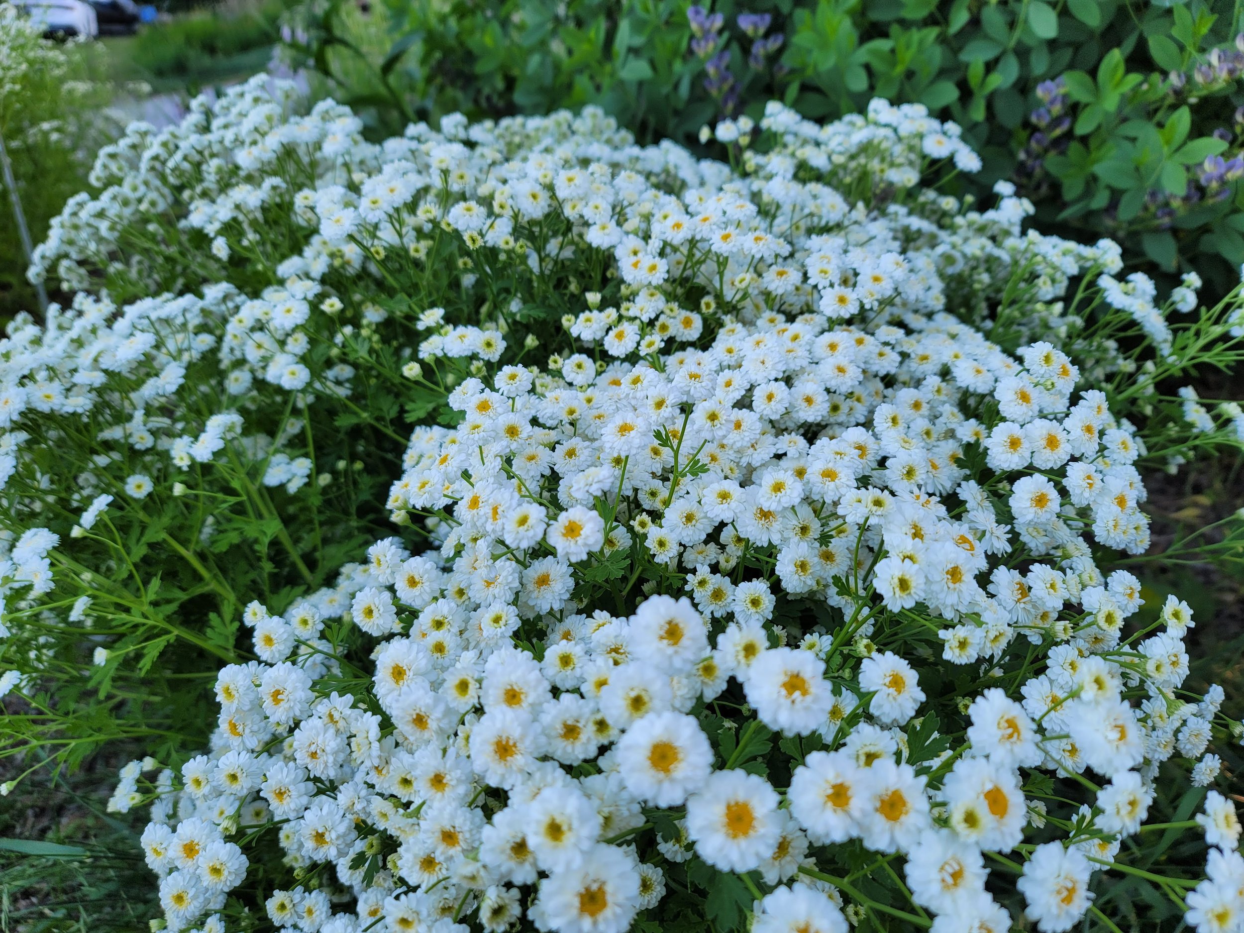 20220614_191533.jpg