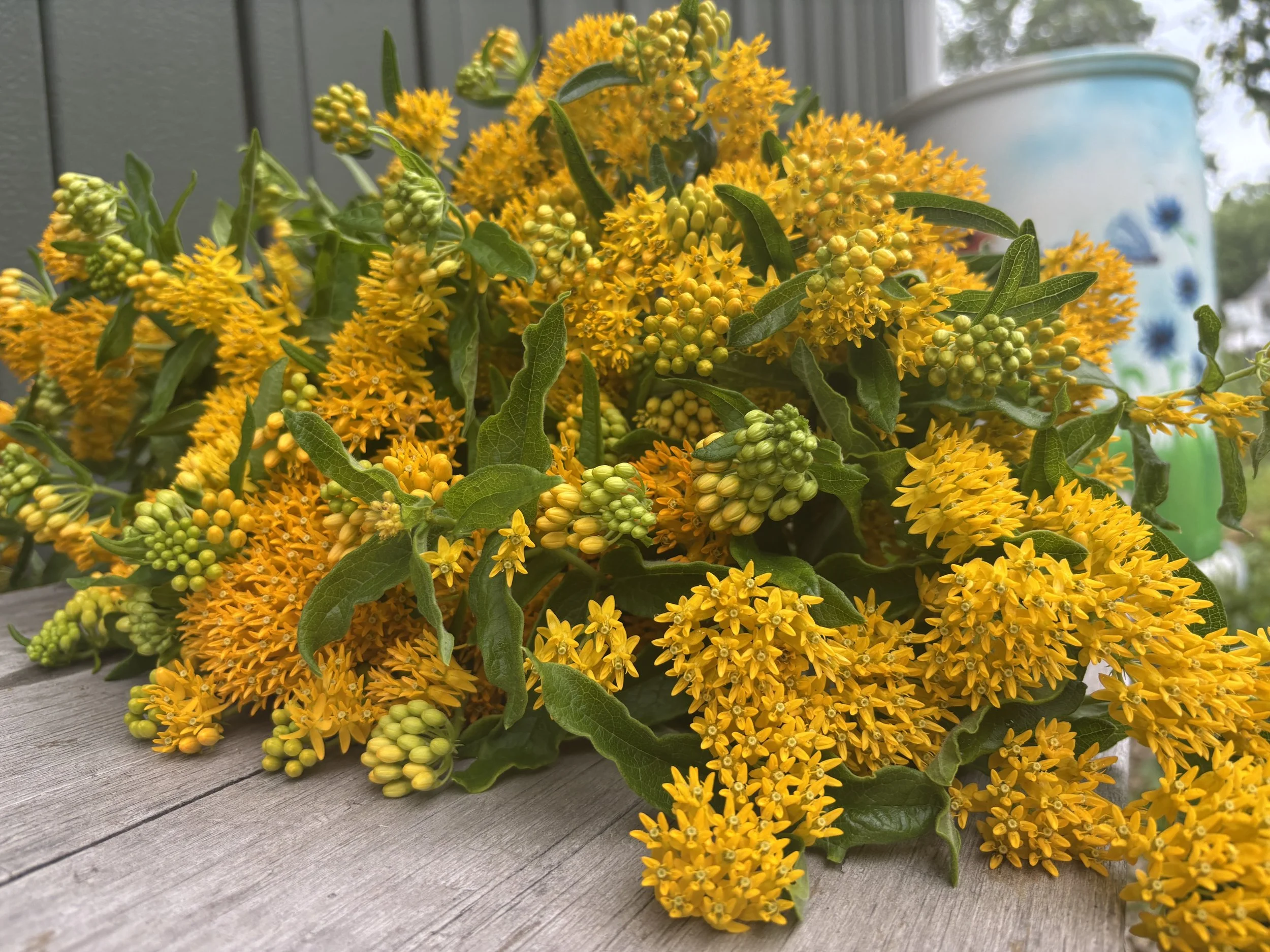 IMG_8313.jpg