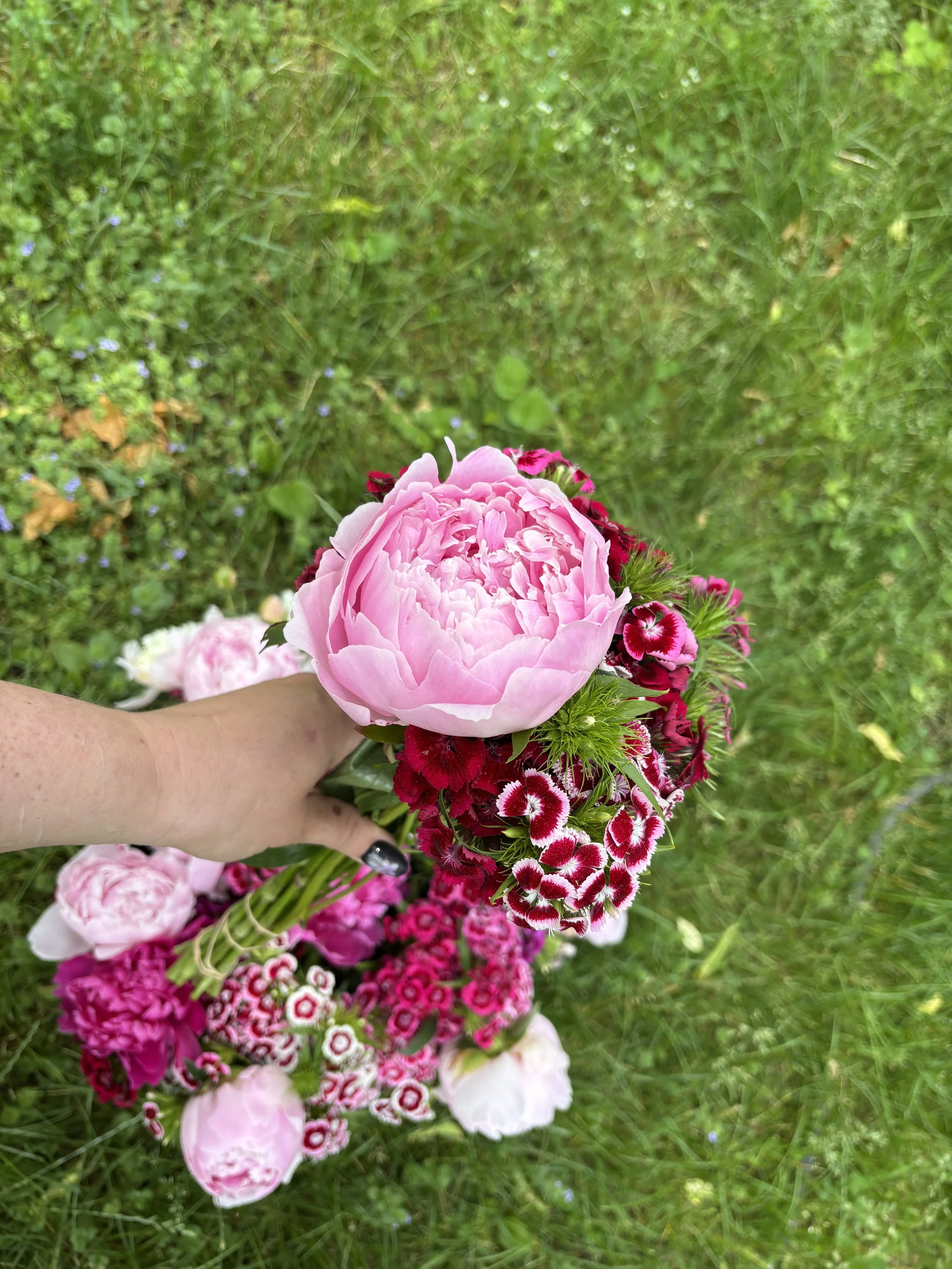 IMG_1794.JPG