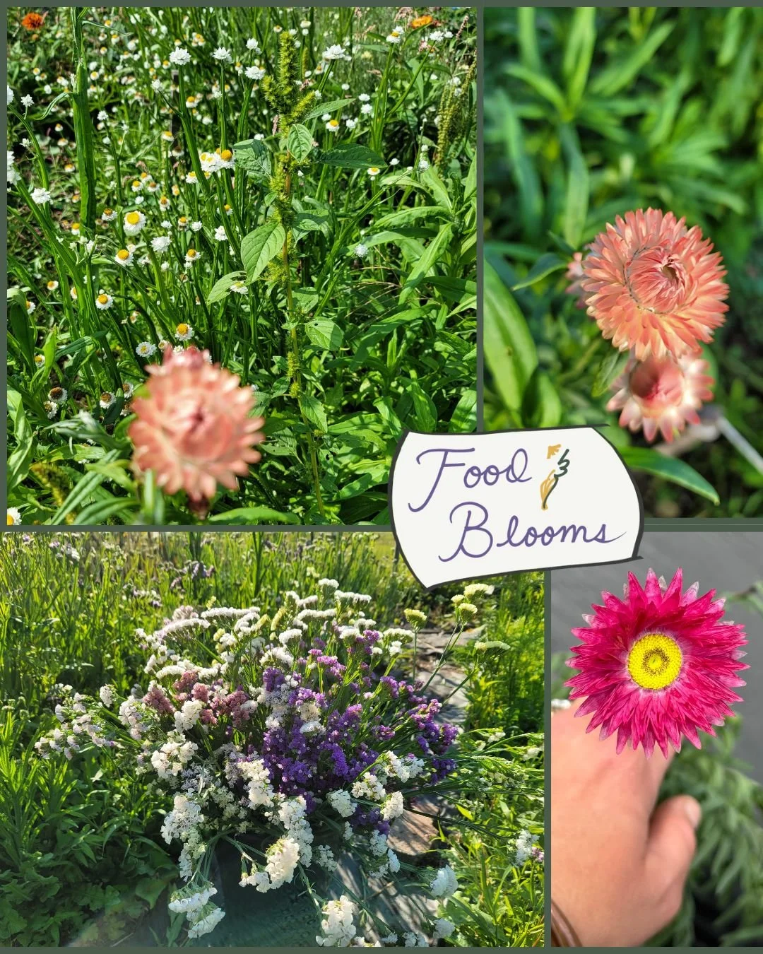 Untitled design (18).jpg