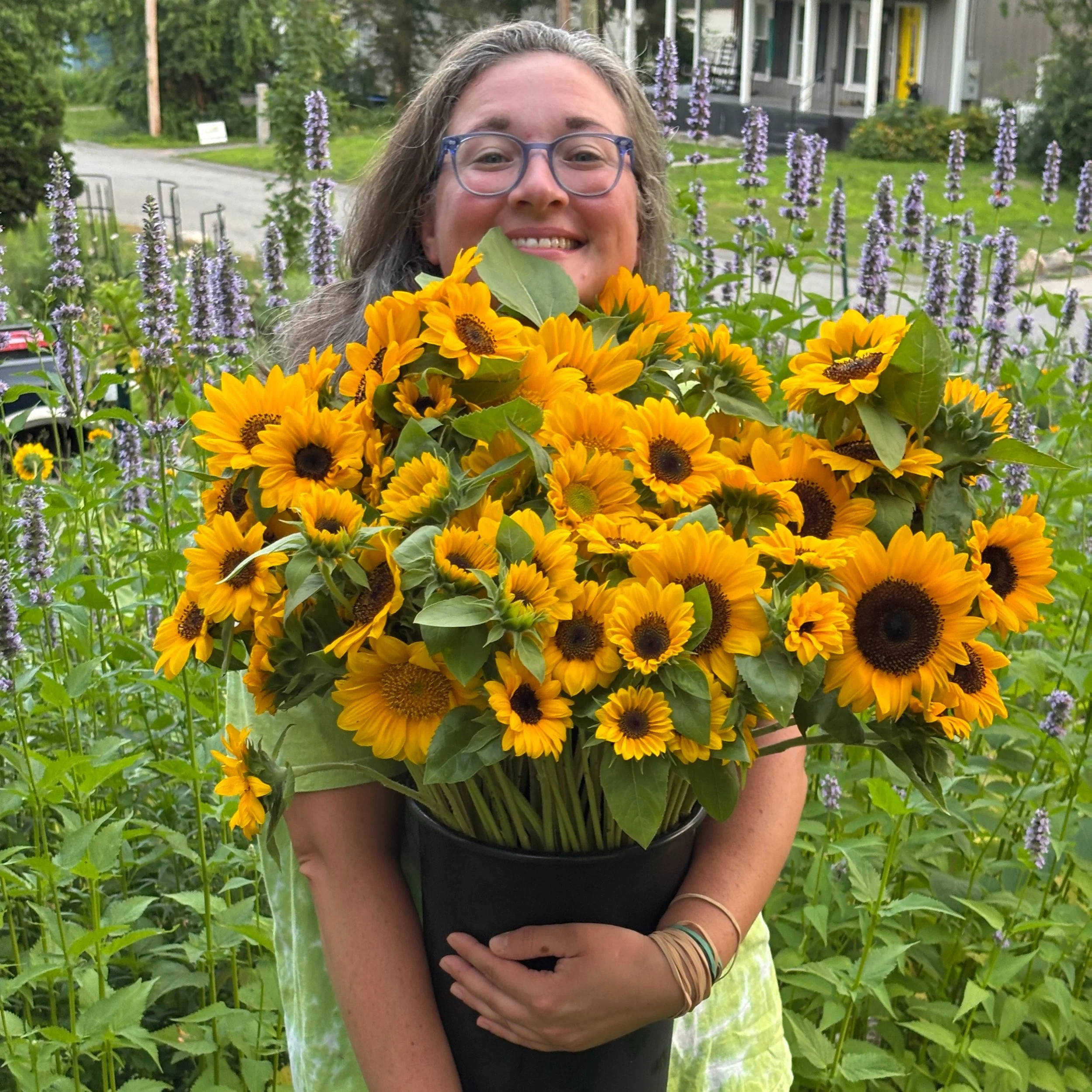 Sunflowers Have Arrived!