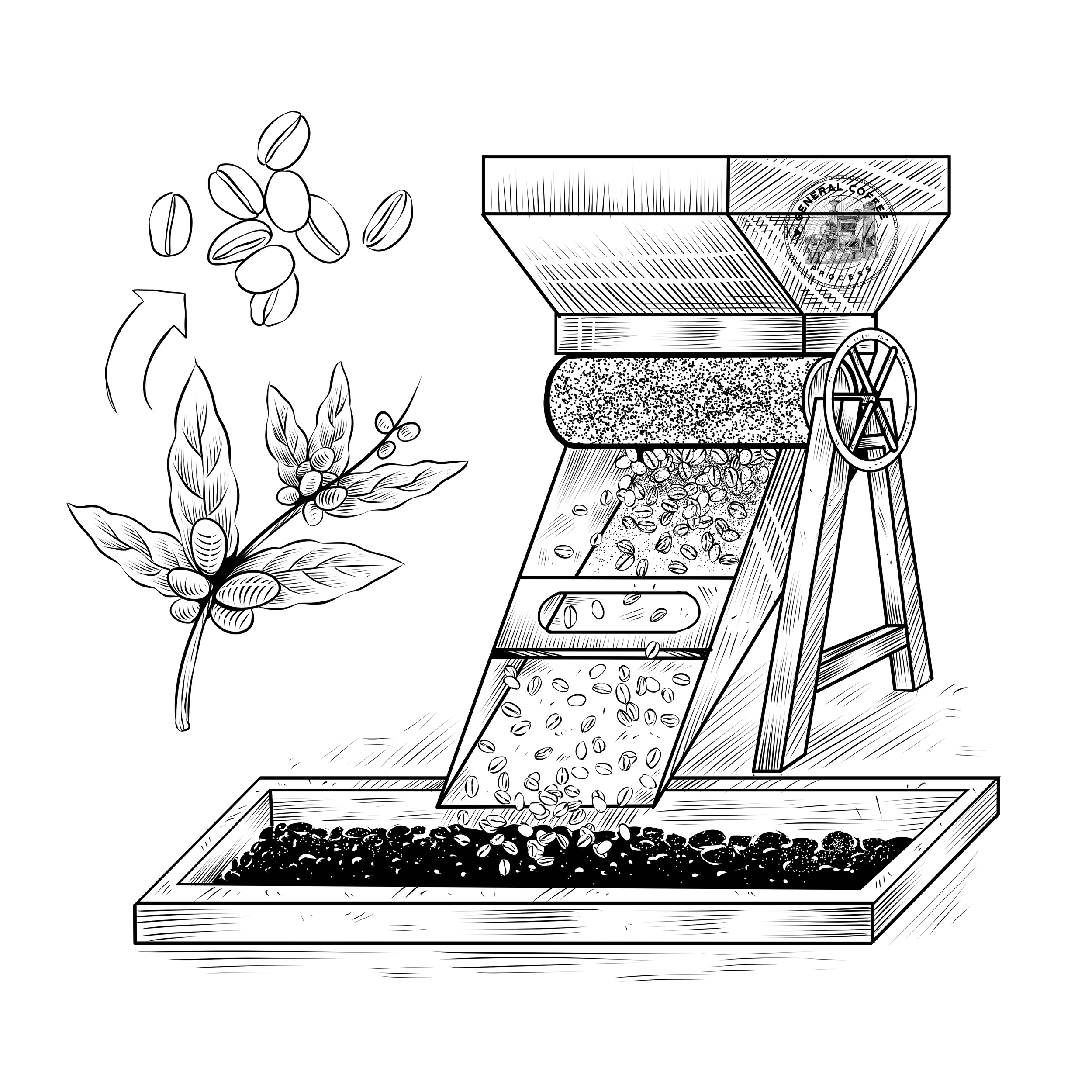 Cprocess - pulping.png