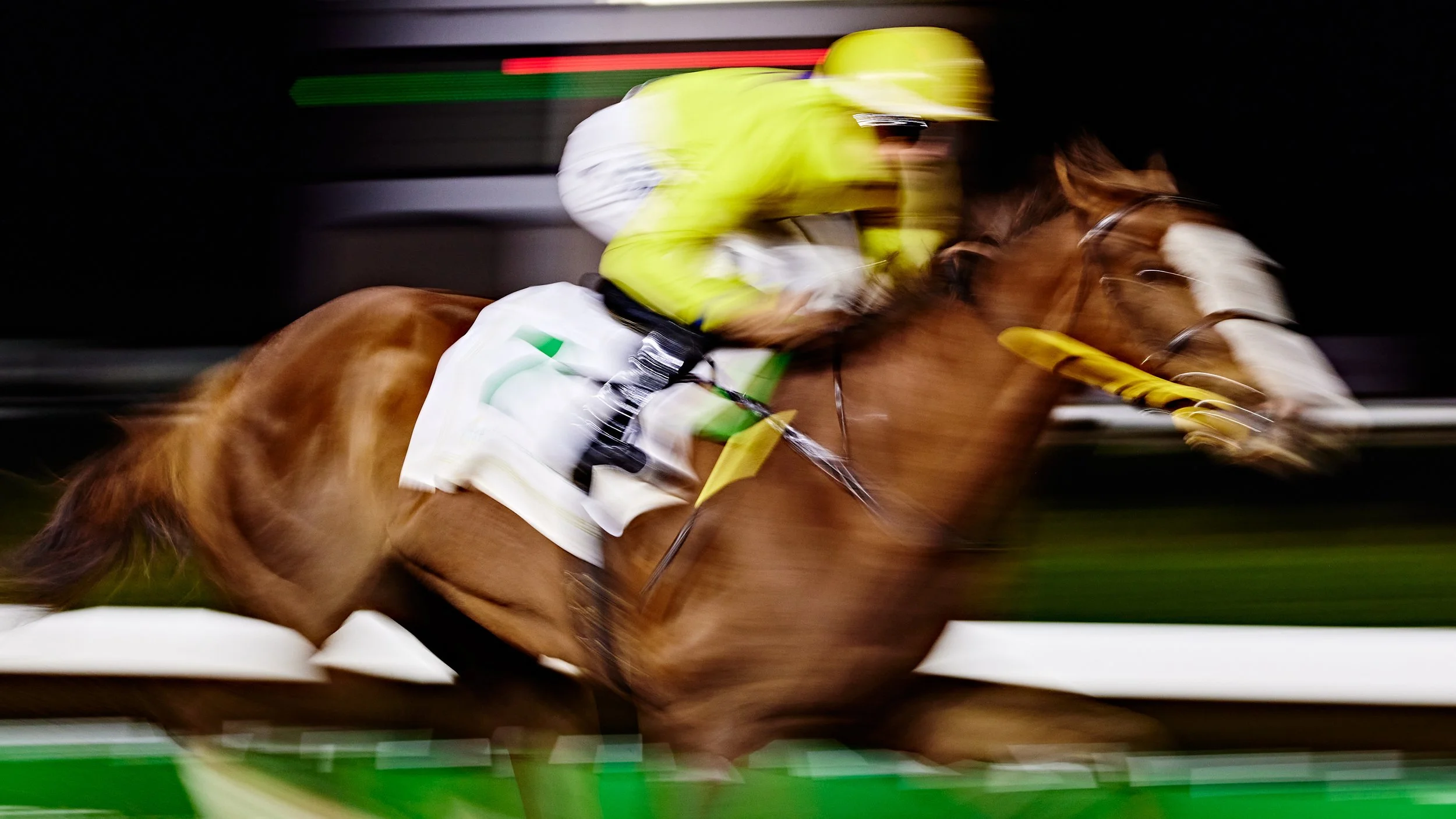 MBS_SAUDICUP 3478.jpg