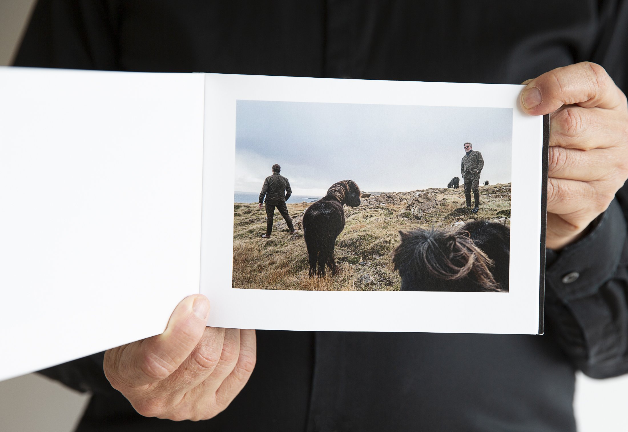 Intersections - the ponies