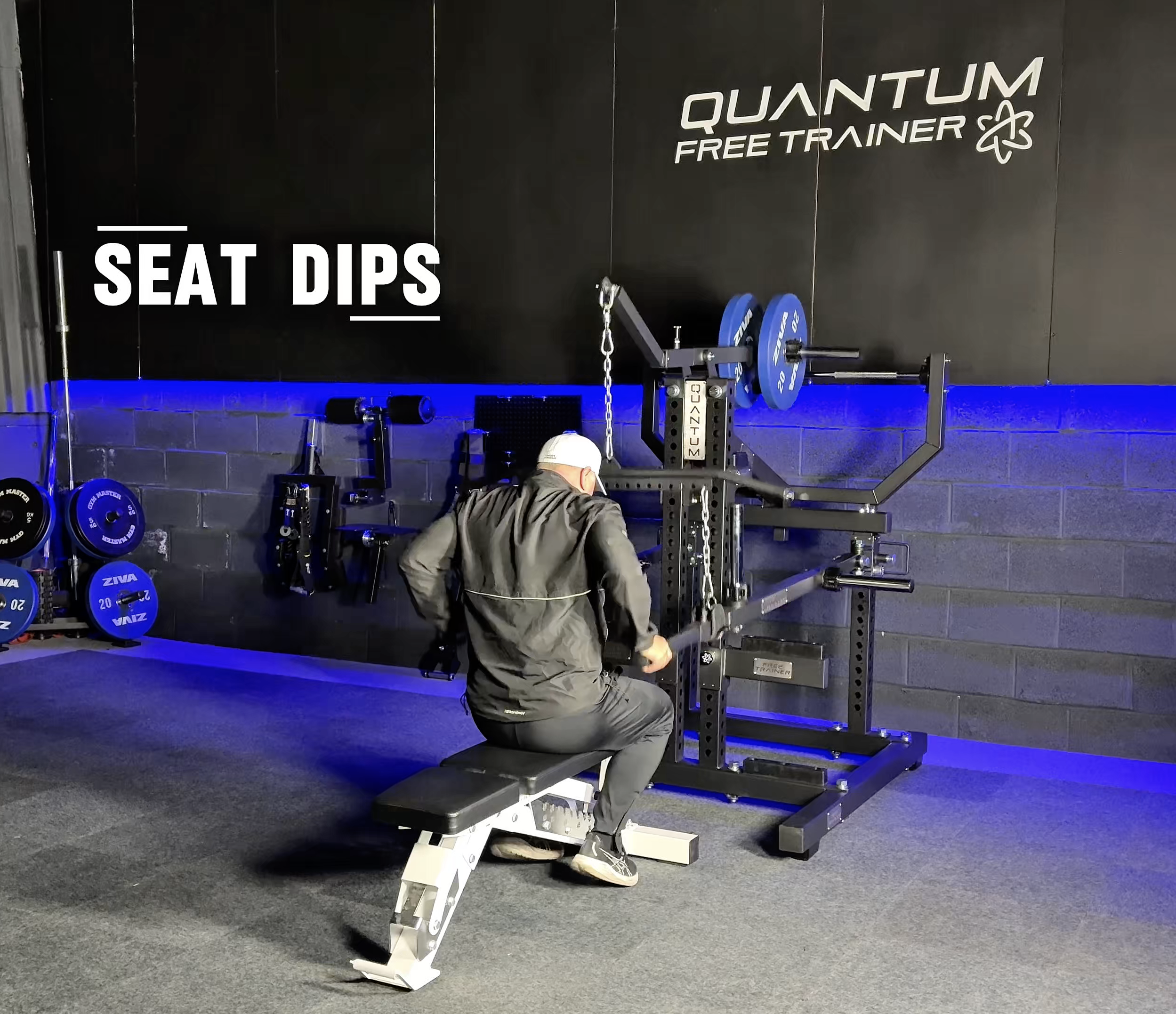 Seated Dips.png