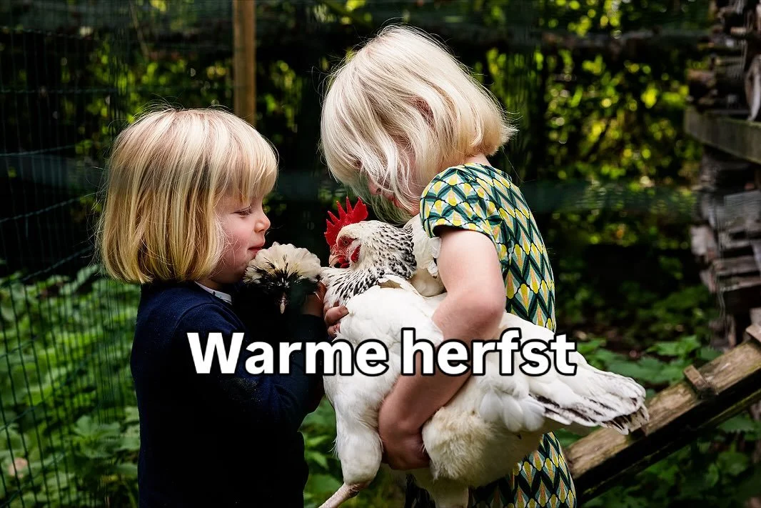 Noten rapen, geitjes eten geven, appels plukken&hellip; allemaal de dingen waar ik oprecht gelukkig van word.
Want buiten zijn is mijn lang leven. Die zuurstof en de geuren en kleuren die de natuur ons geeft 💚 

Voor deze kleine momenten sta ik te s