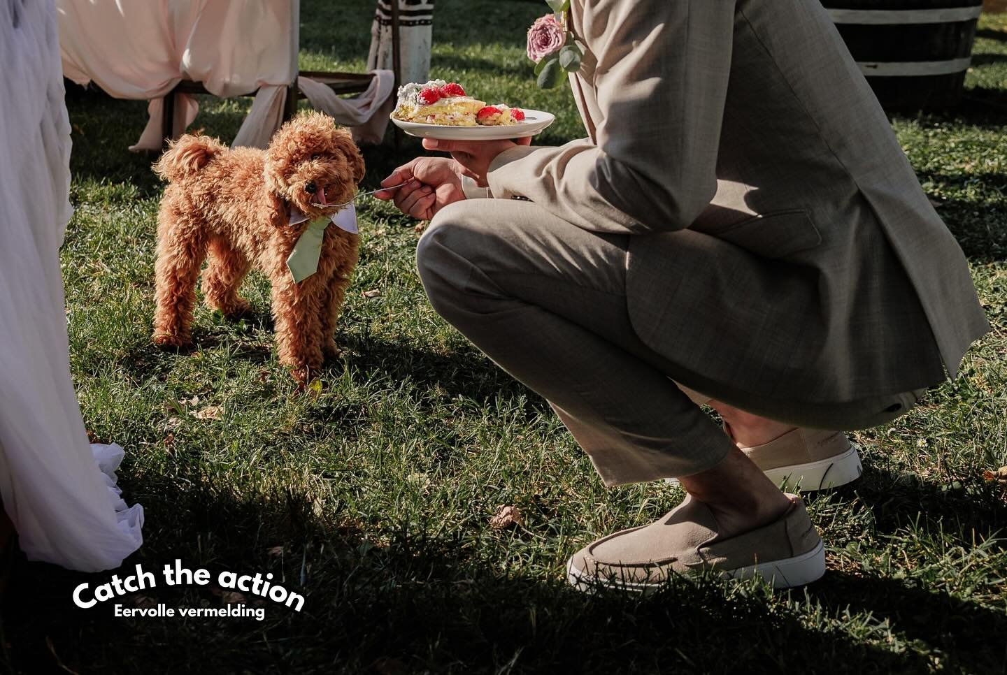 Naast de winnaar van de CTA Awards zijn er ook 2 EERVOLLE VERMELDINGEN &hearts;️

De onthulling van de 4de ronde van de Catch the action Awards vond gisteravond plaats. Deze keer stond het thema ETEN centraal! 

Alle deelnemers van Catch the action k