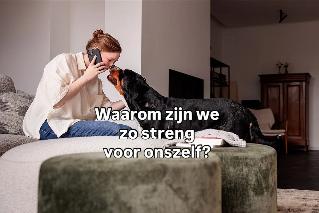 We vergeven anderen zo makkelijk als ze een fout maken. Kinderen mogen er altijd maken. Want dan leren ze eruit.

Maar opgelet! Als je volwassen bent (wanneer is dat eigenlijk?) dan is het voorbij. Nooit of te nimmer mag je dan fouten maken. Want gro